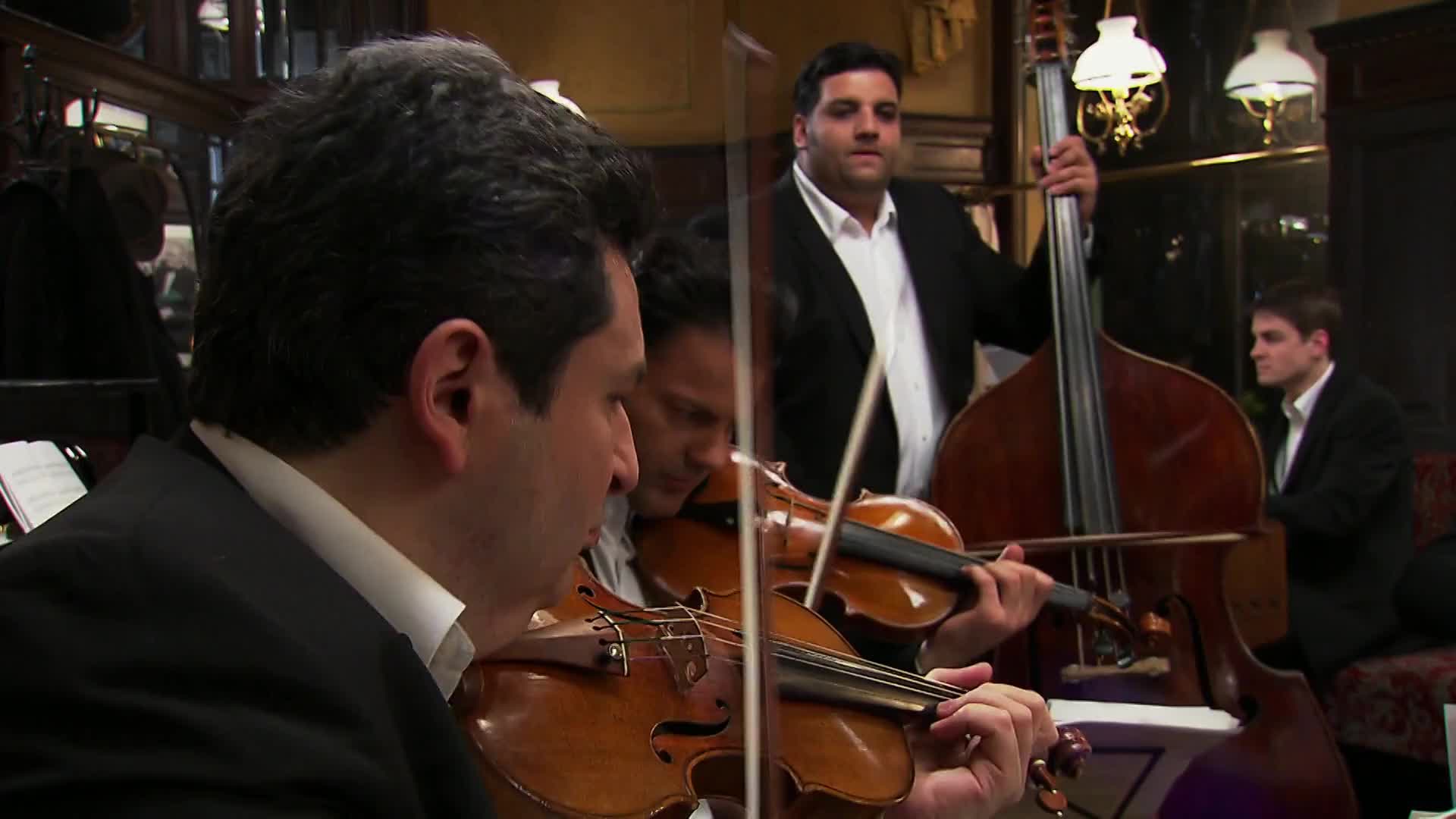 A violinist's bow glides across the strings, his focus intense. Behind him, a double bass player stands, his instrument a dark, polished wood.