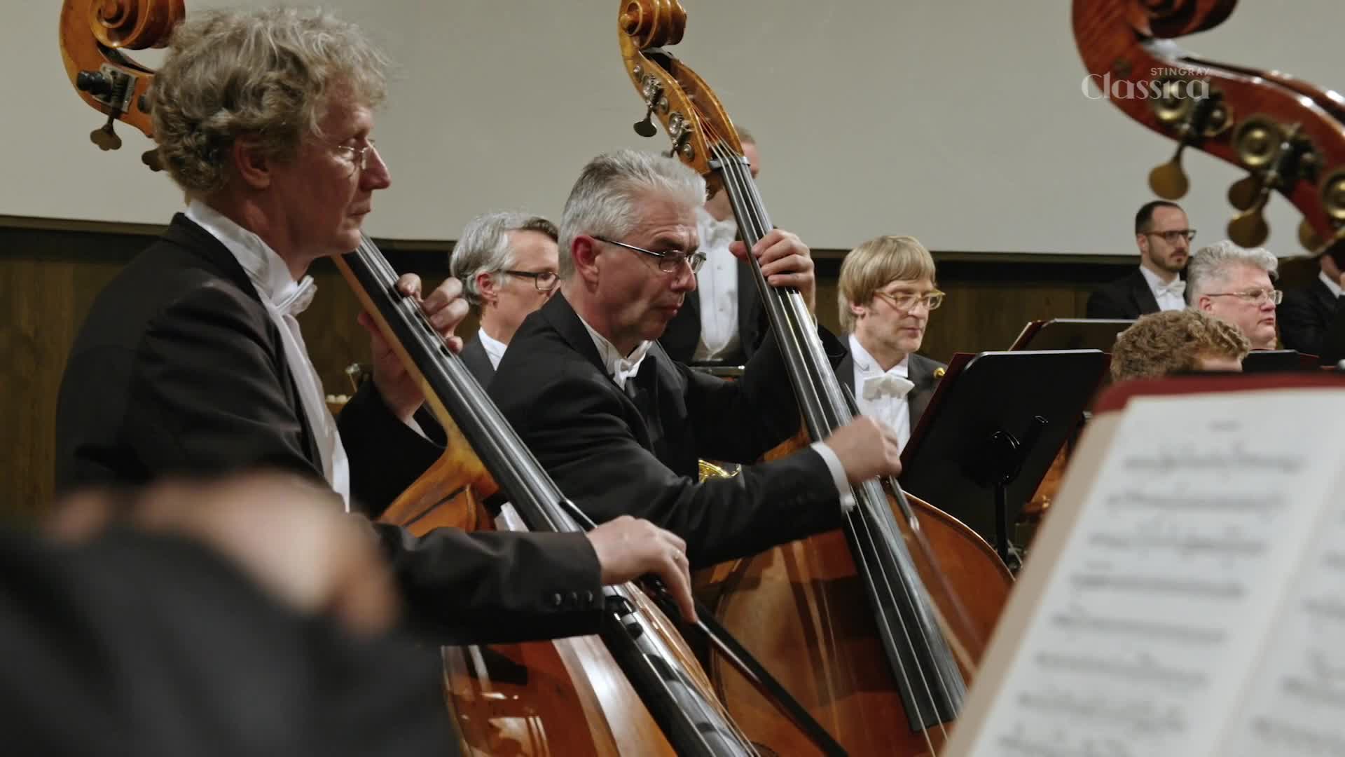 The double bass players in tuxedos are focused on their sheet music. Their bows move with precision across the strings, creating a deep, resonant sound. The double bass players in tuxedos are focused on their sheet music. Their bows move with precision across the strings, creating a deep, resonant sound.