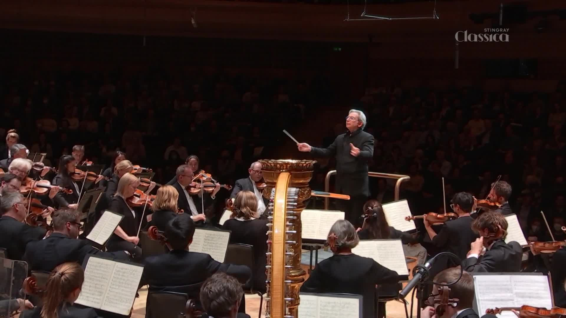 The conductor, a man with distinguished grey hair, raises his baton, guiding the orchestra through a piece for Stingray Classica. Violins bow across strings, their movements precise and synchronized under the warm stage lights. The conductor, a man with distinguished grey hair, raises his baton, guiding the orchestra through a piece for Stingray Classica. Violins bow across strings, their movements precise and synchronized under the warm stage lights.