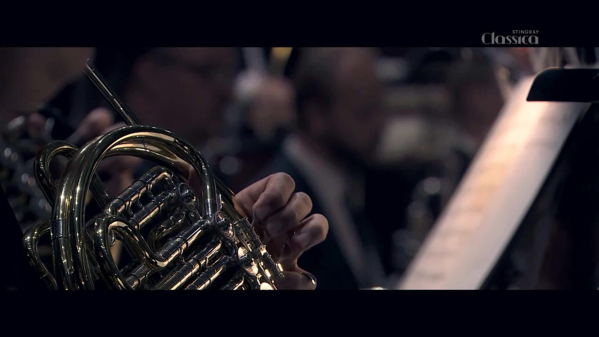 A hand adjusts the valves on a gleaming French horn. The Stingray Classica logo is visible in the background.