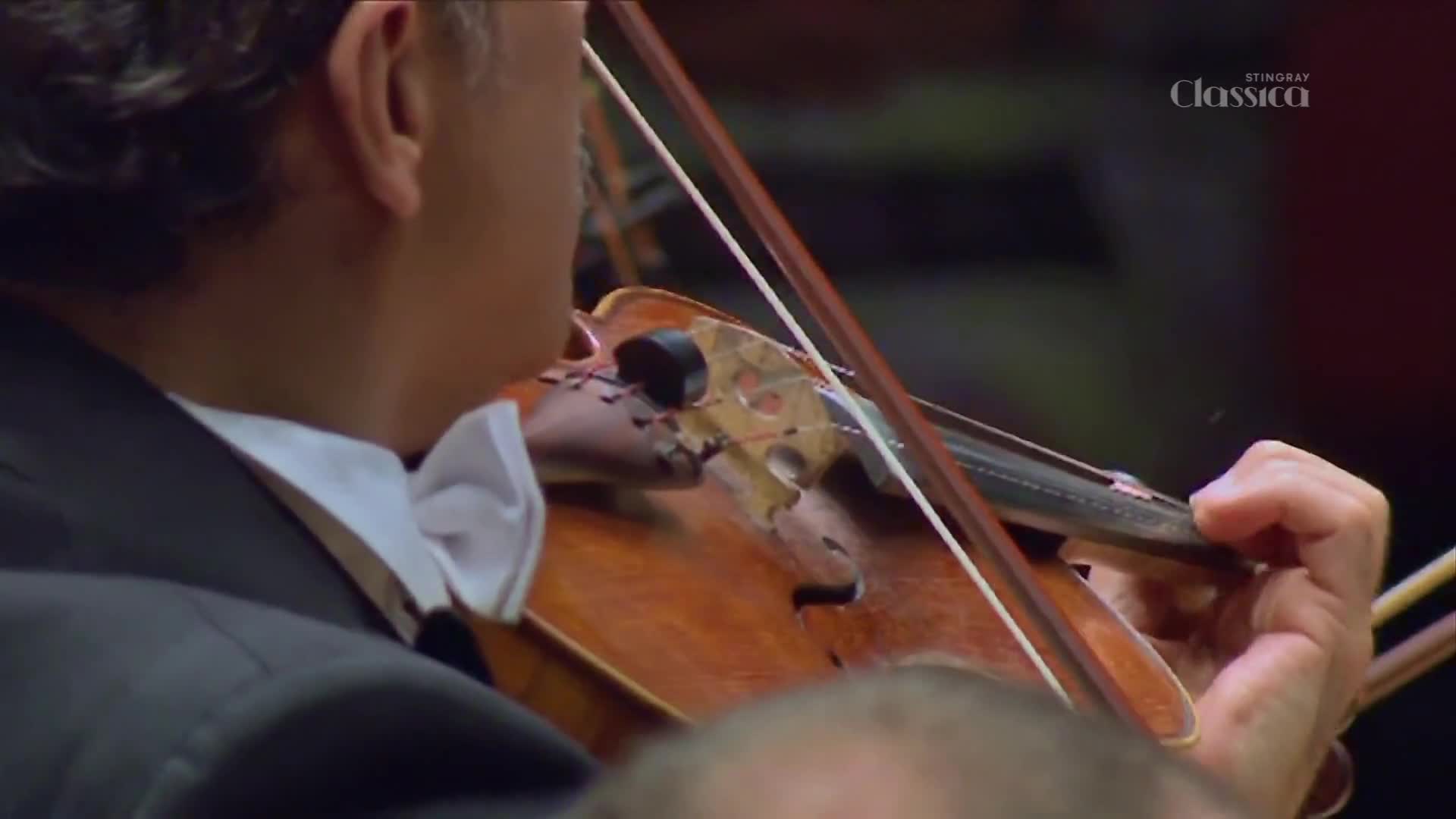 A violinist's fingers dance across the fingerboard, drawing a rich sound from the instrument. The Stingray Classica logo is visible in the background, hinting at a performance broadcast from Canada.