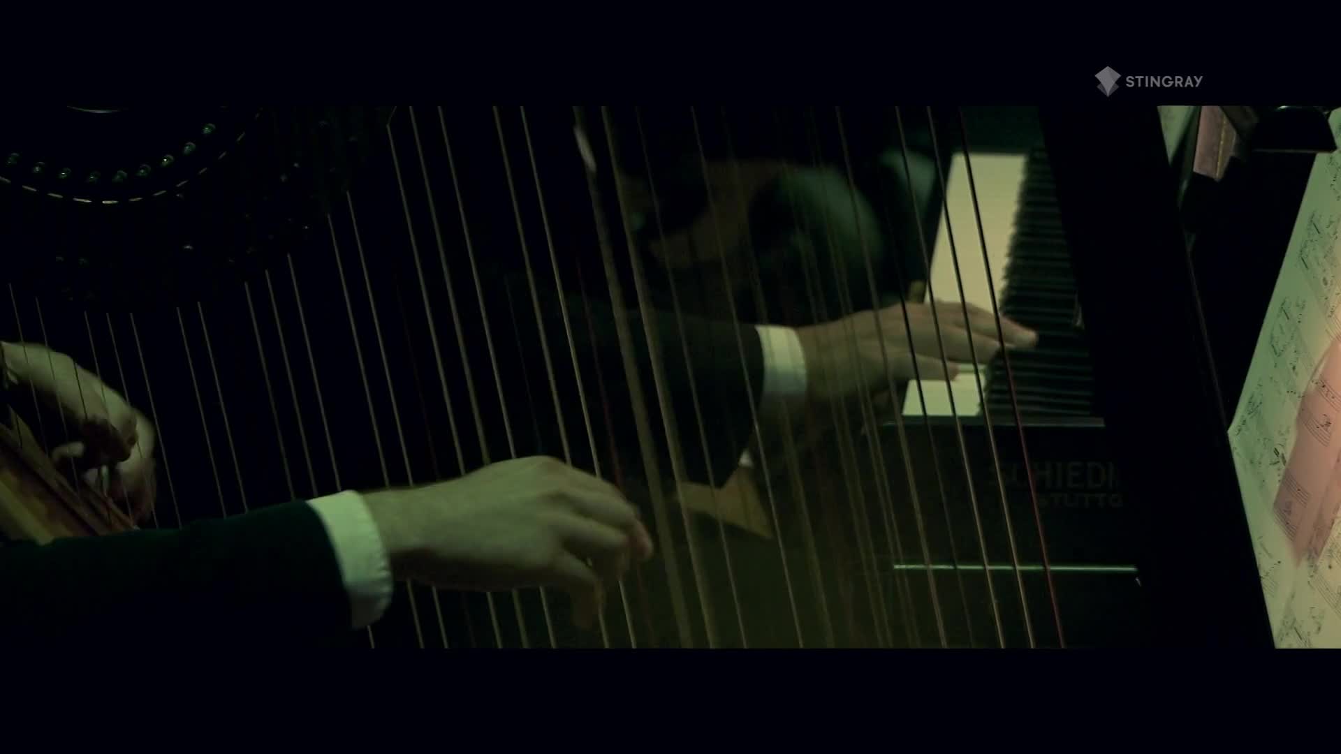 Fingers dance across the harp strings, their movement a silent testament to the music being played. The dark wood of the instrument gleams under the stage lights, a classic piece for Stingray Classica's performance.