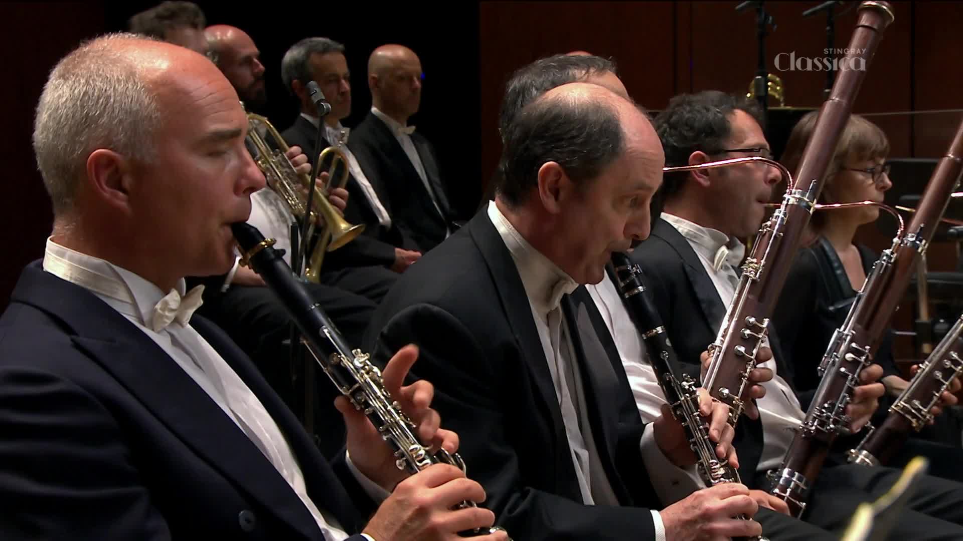 A clarinetist in a black suit and white bowtie plays his instrument, his fingers moving nimbly over the keys. Beside him, a bassoon player leans into his large wooden instrument, a faint smile on his face.