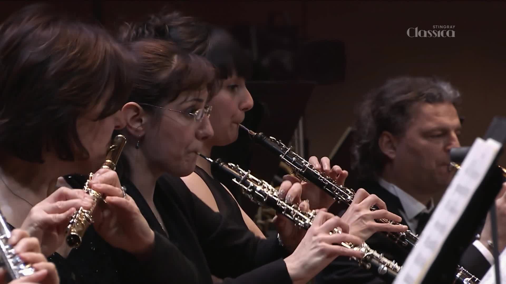 Musicians in formal wear play their instruments, their fingers moving across the keys. The oboist in front of me draws a breath, then presses their lips to the reed.