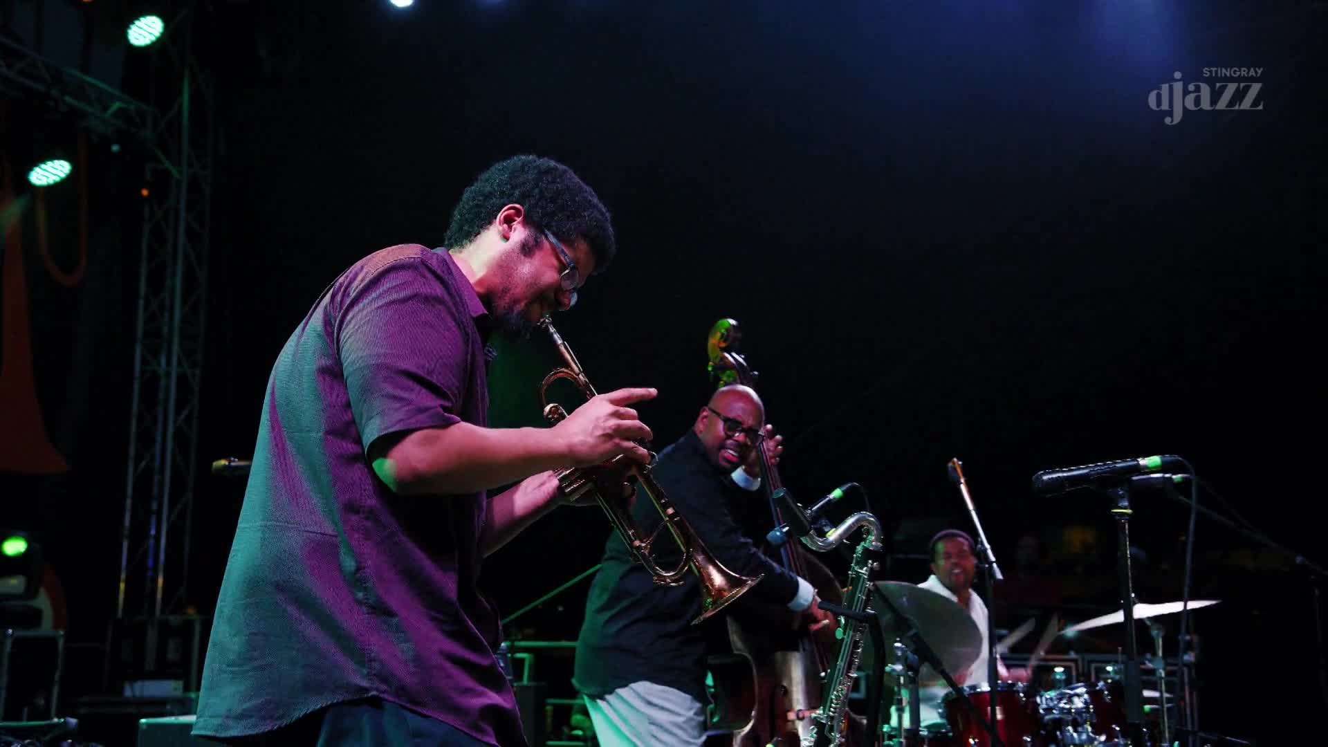 A trumpet player in a purple shirt is mid-solo, the horn gleaming under the stage lights. Behind him, a bassist and a saxophonist are locked in, while the drummer keeps the beat.
