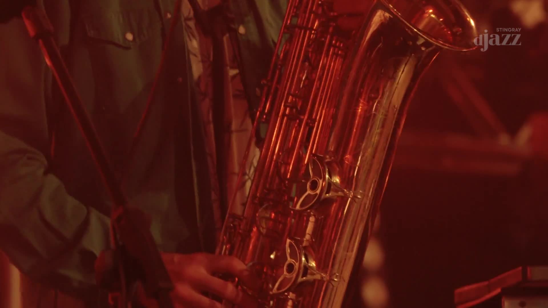 A musician's hands are busy on the valves of a gleaming, golden instrument. The Stingray DJAZZ logo is visible, and the whole scene is bathed in a warm, reddish light.
A musician's hands are busy on the valves of a gleaming, golden instrument. The Stingray DJAZZ logo is visible, and the whole scene is bathed in a warm, reddish light.