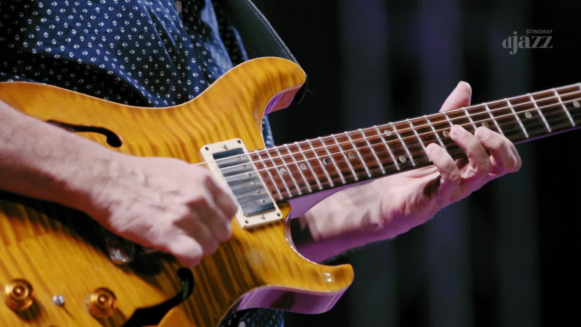 The guitarist's fingers dance across the fretboard, pressing down on the strings. The instrument, a beautiful amber-toned electric guitar, is held close, ready to deliver a solo for Stingray DJAZZ.
The guitarist's fingers dance across the fretboard, pressing down on the strings. The instrument, a beautiful amber-toned electric guitar, is held close, ready to deliver a solo for Stingray DJAZZ.