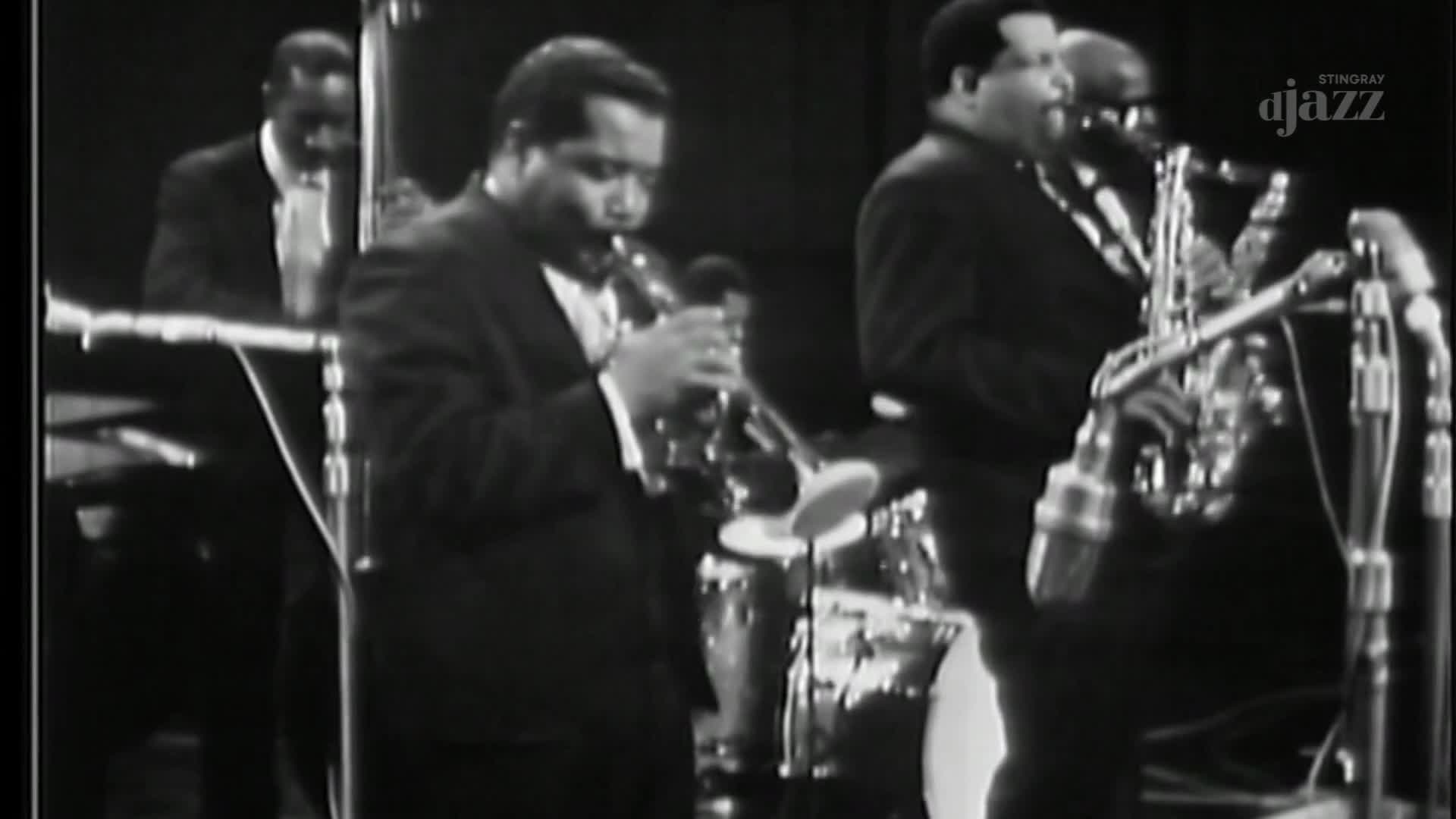 The band is in full swing, with musicians in suits focused on their instruments. A trumpet player blows into his horn, while a saxophonist beside him holds his instrument up to a microphone.
The band is in full swing, with musicians in suits focused on their instruments. A trumpet player blows into his horn, while a saxophonist beside him holds his instrument up to a microphone.