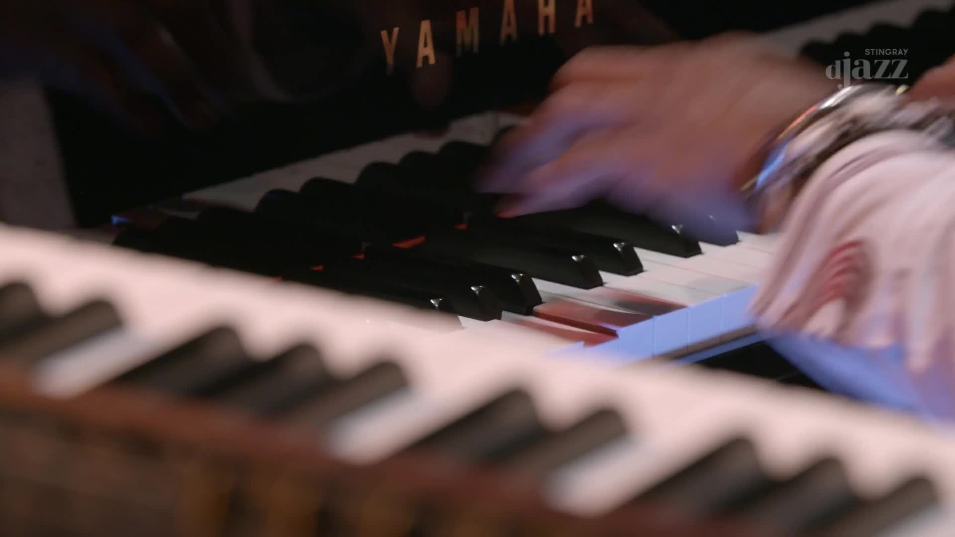 Fingers dance across the piano keys, a Yamaha logo visible above. The musician's wrist, adorned with a silver bracelet, is in motion, close to the Stingray DJAZZ logo.
Fingers dance across the piano keys, a Yamaha logo visible above. The musician's wrist, adorned with a silver bracelet, is in motion, close to the Stingray DJAZZ logo.