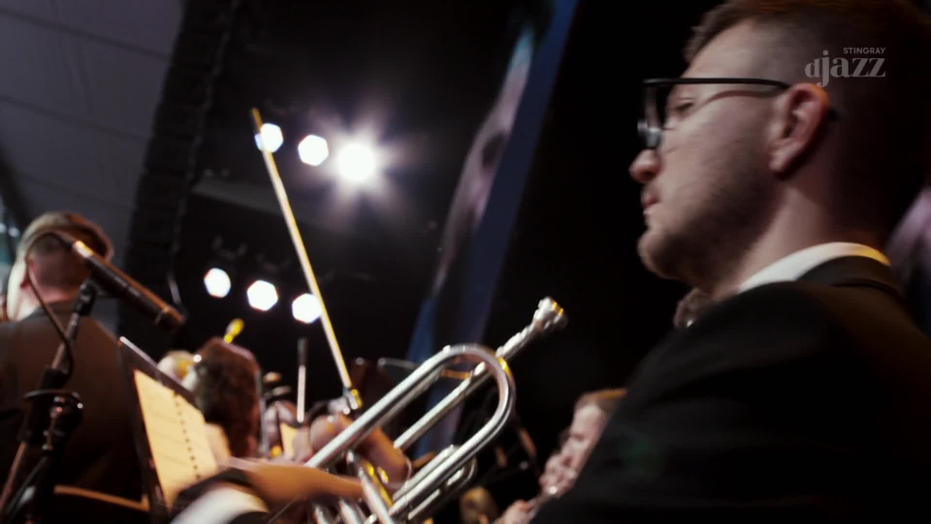 The trumpet player in a suit holds his instrument, a bright light shining above. The Stingray DJAZZ logo is visible, and the band is ready to play.
The trumpet player in a suit holds his instrument, a bright light shining above. The Stingray DJAZZ logo is visible, and the band is ready to play.