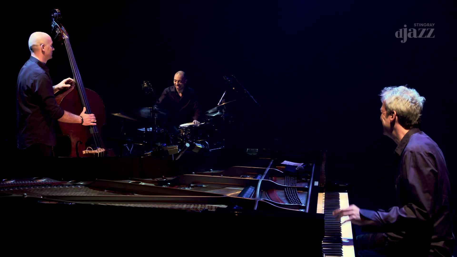 The bassist, a man with a shaved head, bows his upright bass. Beside him, a drummer taps his sticks on the snare, his face lit by the stage lights. To the right, a pianist with silver hair leans over the keys, his fingers poised. The bassist, a man with a shaved head, bows his upright bass. Beside him, a drummer taps his sticks on the snare, his face lit by the stage lights. To the right, a pianist with silver hair leans over the keys, his fingers poised.