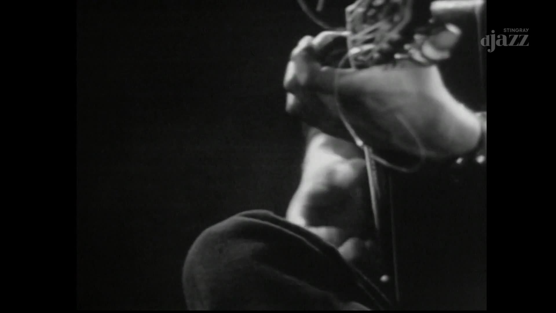 A guitarist's hands move across the fretboard, fingers dancing on the strings. The Stingray DJAZZ logo appears on the right, hinting at a Canadian performance.