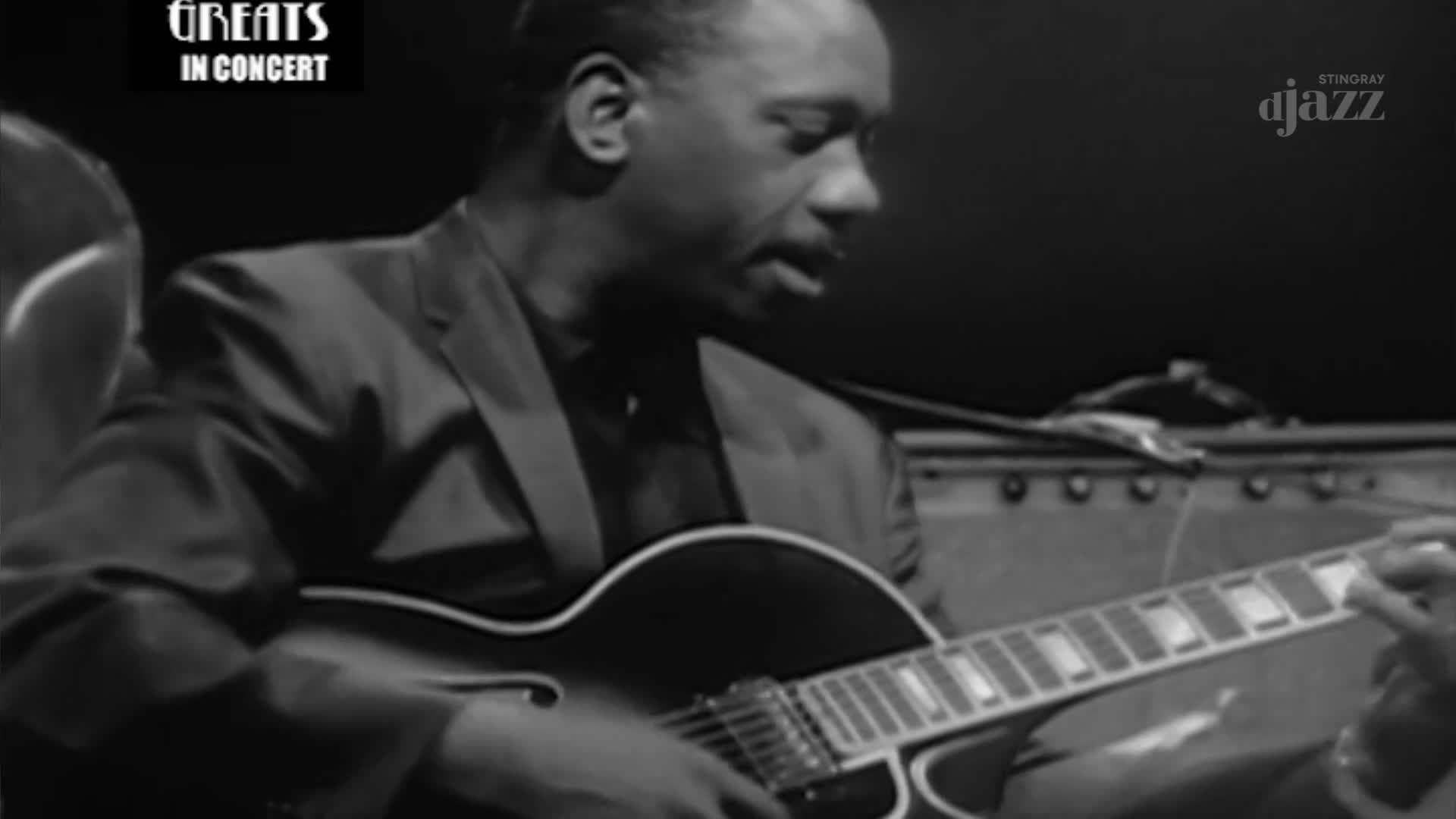 A guitarist plays a hollow-body electric guitar, his fingers moving nimbly over the fretboard. The "Greats in Concert" logo and Stingray DJAZZ branding appear on screen, hinting at a Canadian broadcast.
