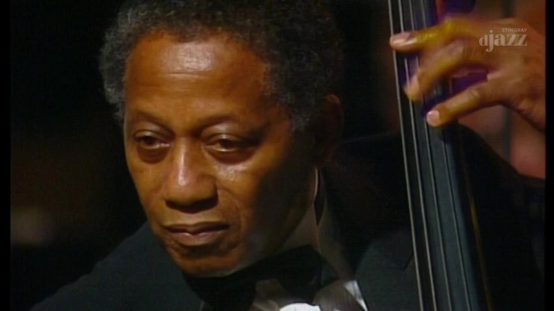 A man's face, etched with concentration, is illuminated as his fingers dance on the strings of an upright bass. The Stingray DJAZZ logo is visible in the background, hinting at a live performance.
