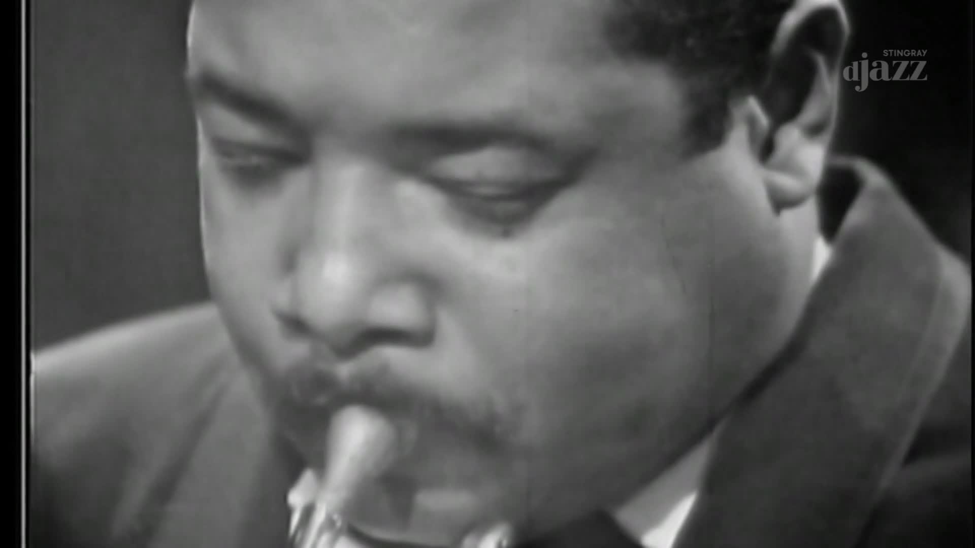 A man's face fills the frame as he plays a trumpet, his eyes closed in concentration. The Stingray DJAZZ logo appears in the upper right corner, a subtle nod to the broadcast.