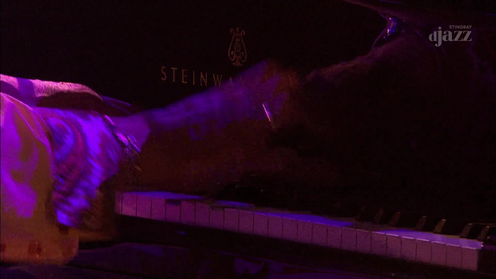 A piano player's hands move rapidly across the keys of a Steinway grand, bathed in purple light. The Stingray DJAZZ logo is visible in the upper right corner. A piano player's hands move rapidly across the keys of a Steinway grand, bathed in purple light. The Stingray DJAZZ logo is visible in the upper right corner.