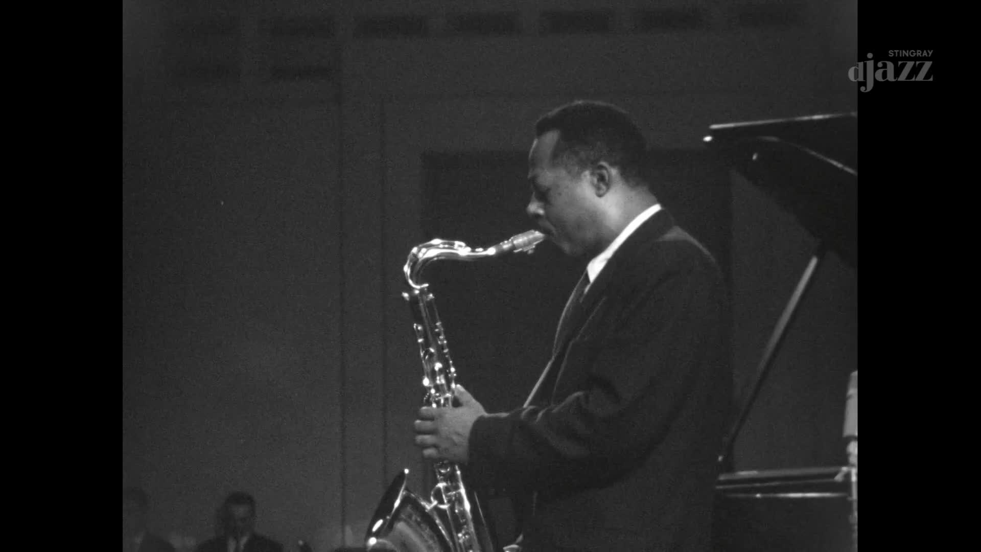 A man in a suit plays a saxophone, his fingers moving nimbly over the keys. The Stingray DJAZZ logo is visible in the corner, suggesting this performance is part of a Canadian broadcast.