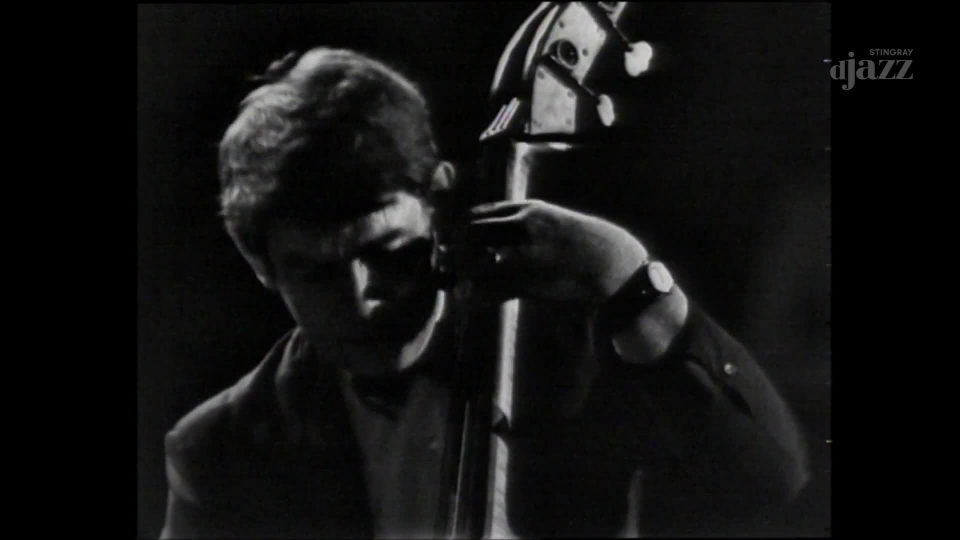 A young man with dark, tousled hair leans into his upright bass, his left hand fretting the strings. His right hand is poised over the fingerboard, ready to pluck a note.