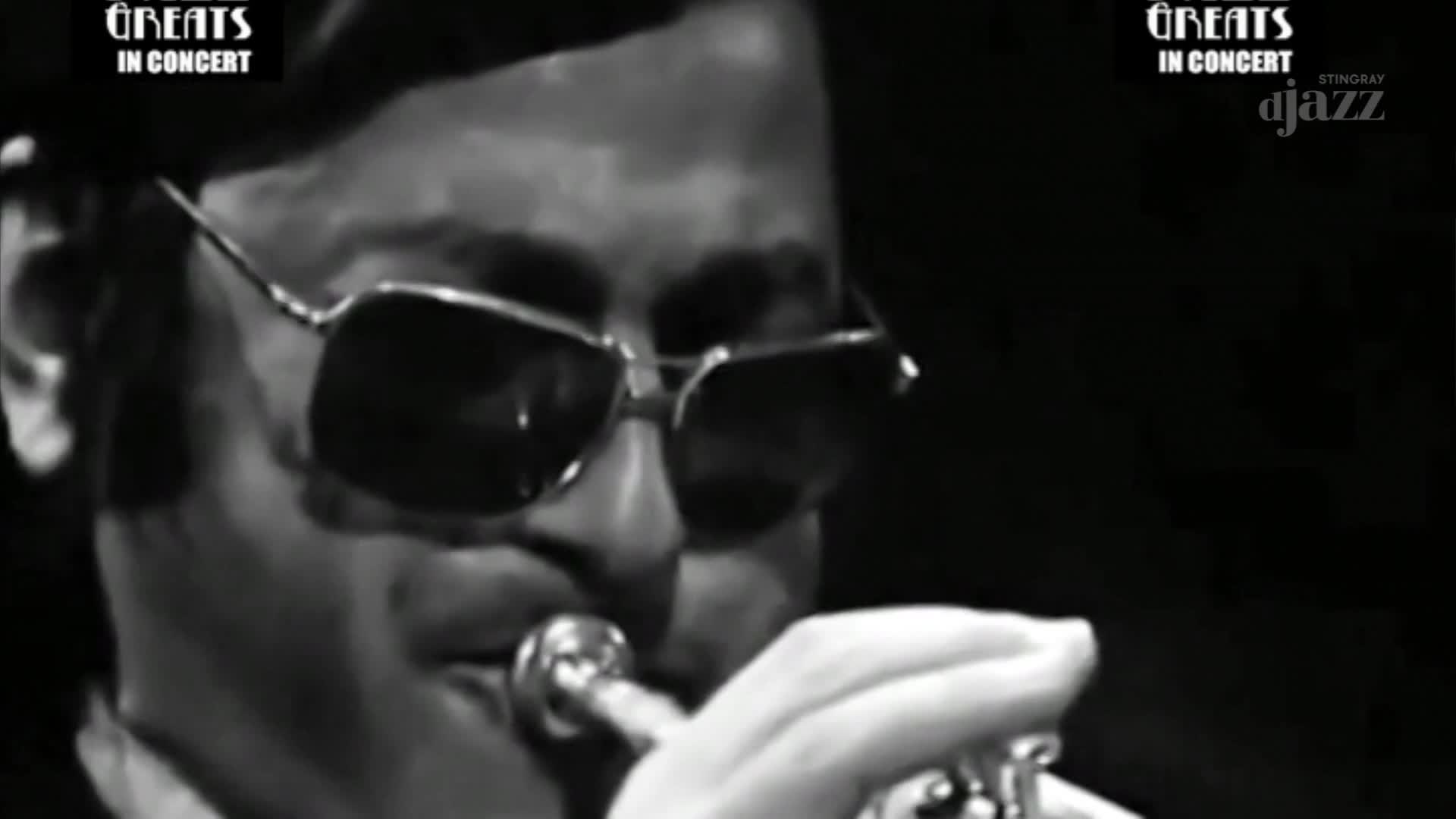 A man with dark sunglasses plays a trumpet, his fingers pressing down on the valves. The Stingray DJAZZ logo appears in the upper right corner, indicating this is a broadcast from Canada.