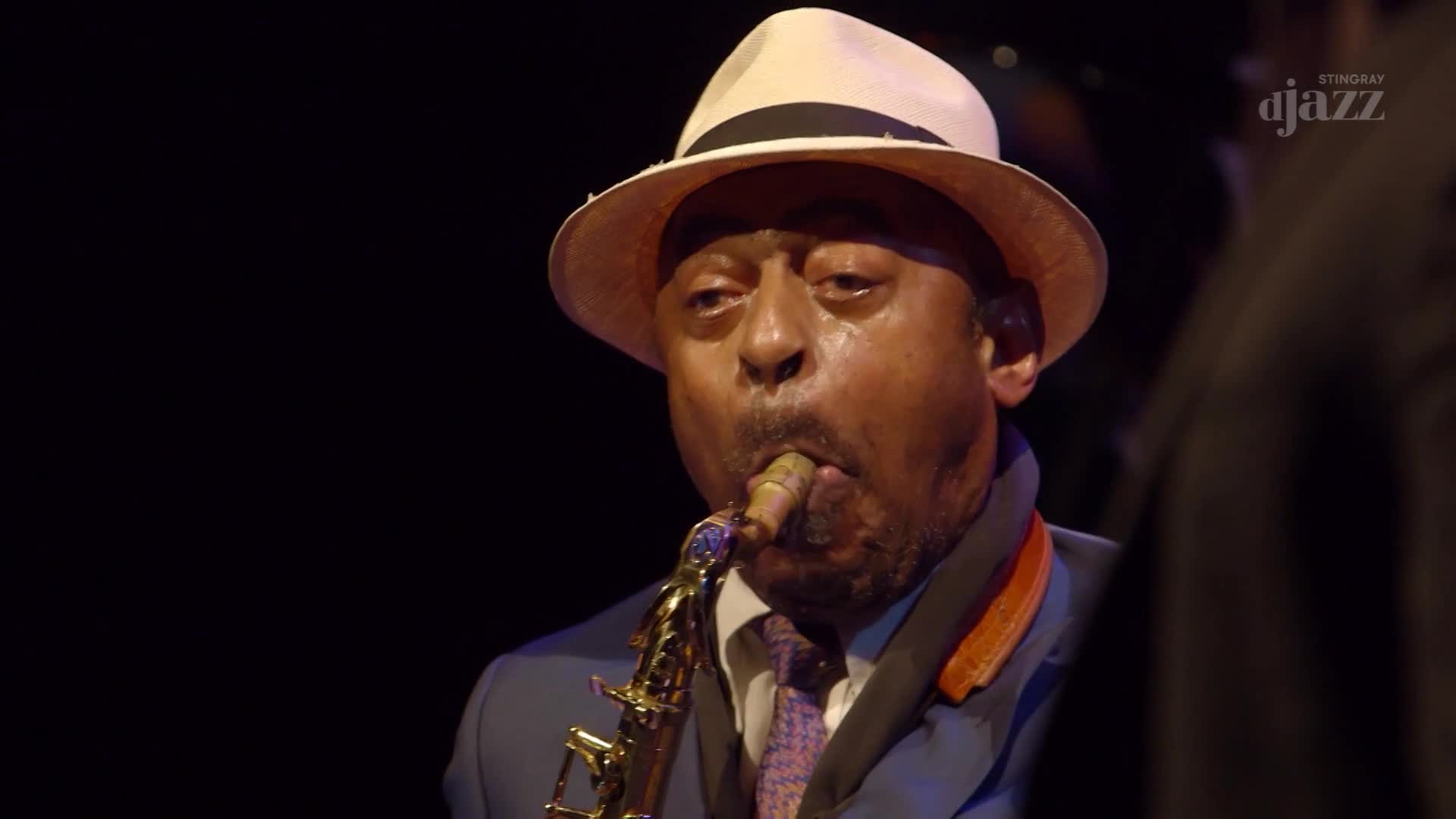A man in a fedora plays his saxophone, the instrument glinting under the stage lights. The Stingray Djazz logo is visible in the background.
