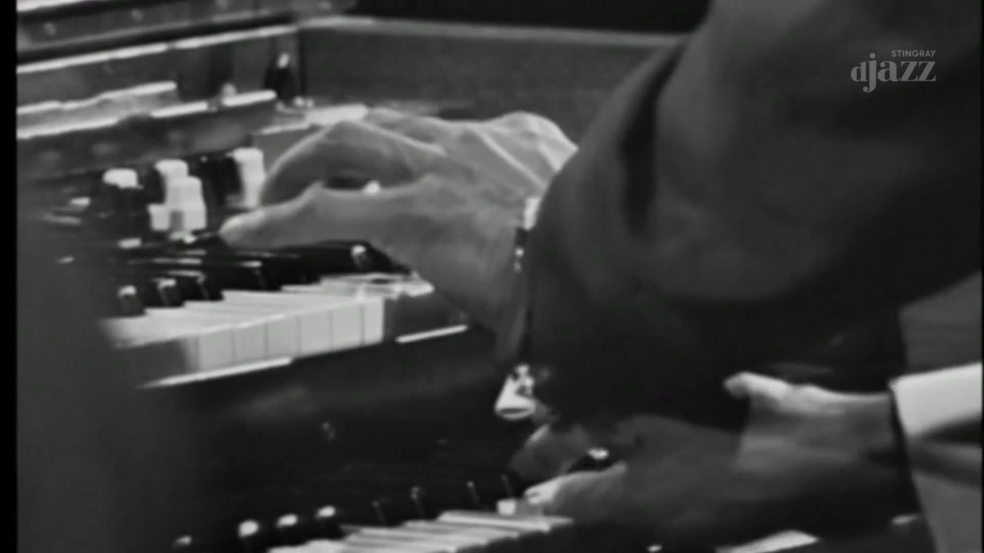 Fingers dance across the Hammond organ keys, a blur of motion. The Stingray DJAZZ logo is visible in the corner, hinting at a live performance in Canada.