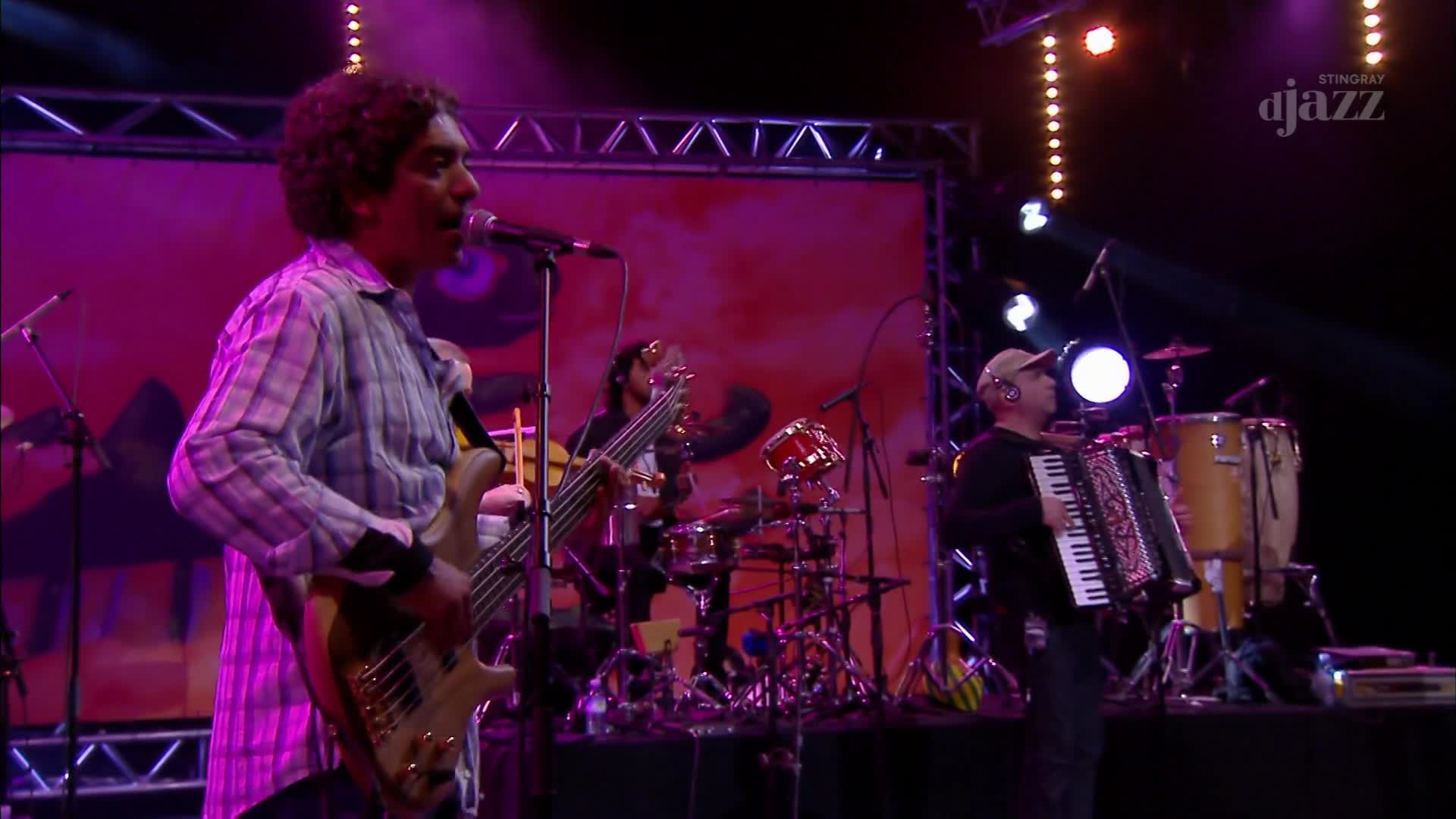 The bassist, wearing a plaid shirt, sings into the microphone while his fingers dance on the fretboard. To his right, an accordion player sways to the rhythm, his instrument expanding and contracting.