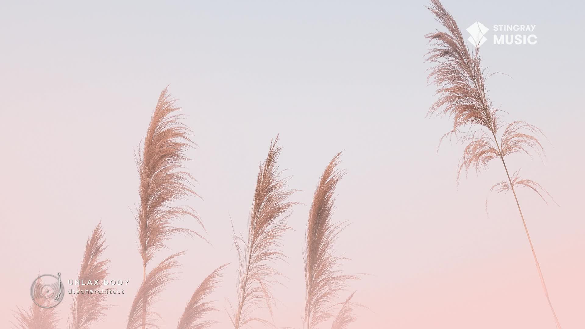 Tall, feathery grasses sway gently against a soft, gradient sky, the color of a Stingray Easy Listening sunset. The scene evokes a sense of calm, like a breezy day in Canada.
