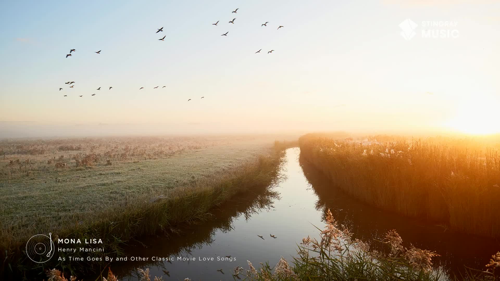 A flock of birds takes flight against a soft, hazy sky, above a calm waterway. The sun's rays are bright, casting a warm glow over the reeds and fields, a perfect scene for Stingray Easy Listening from Canada.
