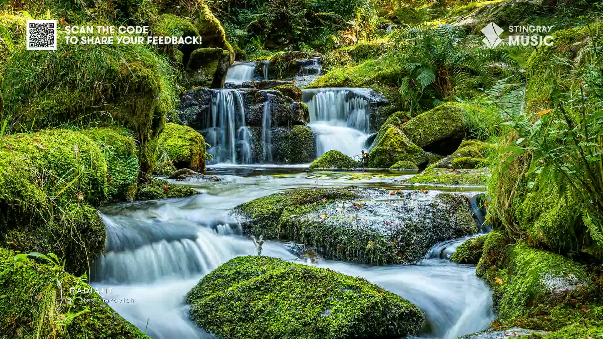 Water cascades over mossy rocks, creating small waterfalls in a lush, green landscape. The Stingray Music logo is visible, and I can imagine this scene accompanying the gentle sounds of Stingray Easy Listening.
