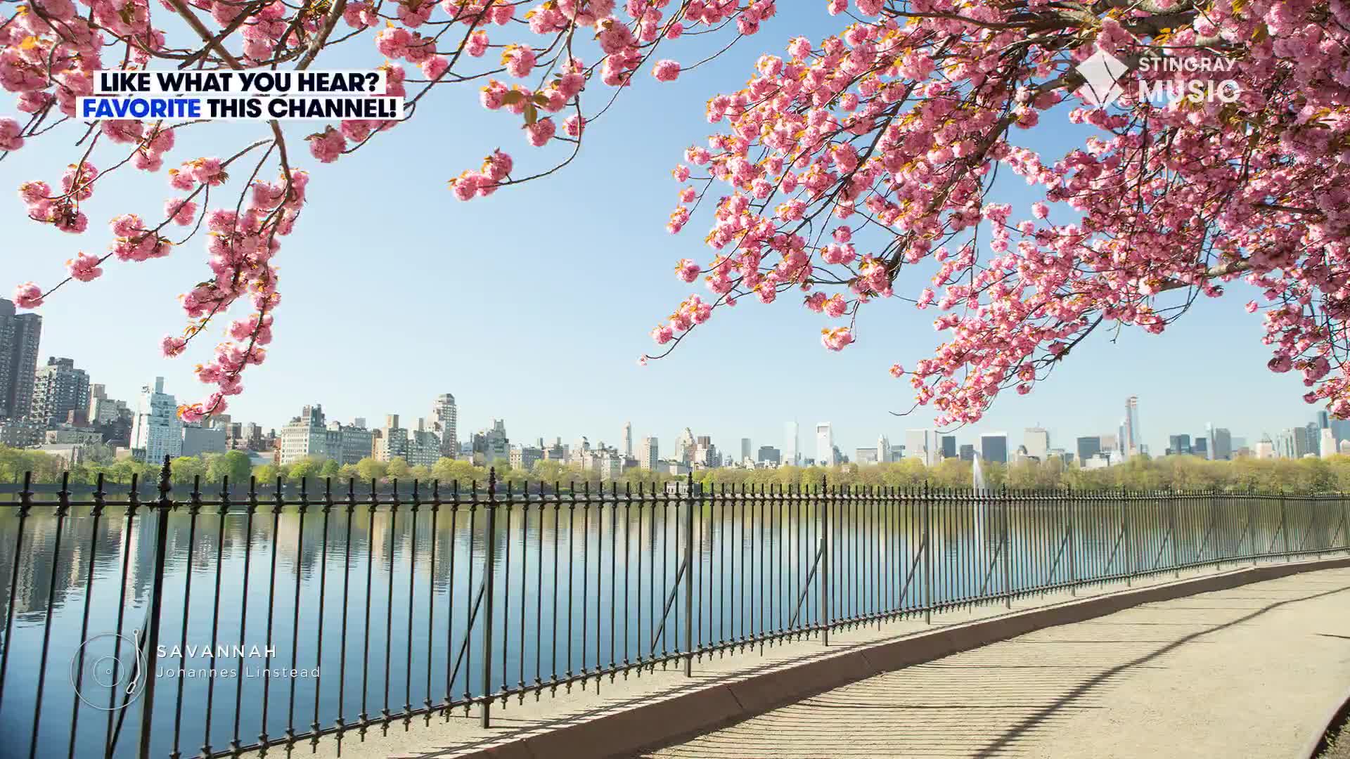 Pink blossoms, heavy with blooms, hang over a path beside a calm lake. Across the water, the skyline of a city rises against a bright blue sky, perhaps the perfect backdrop for Stingray Easy Listening from Canada.
