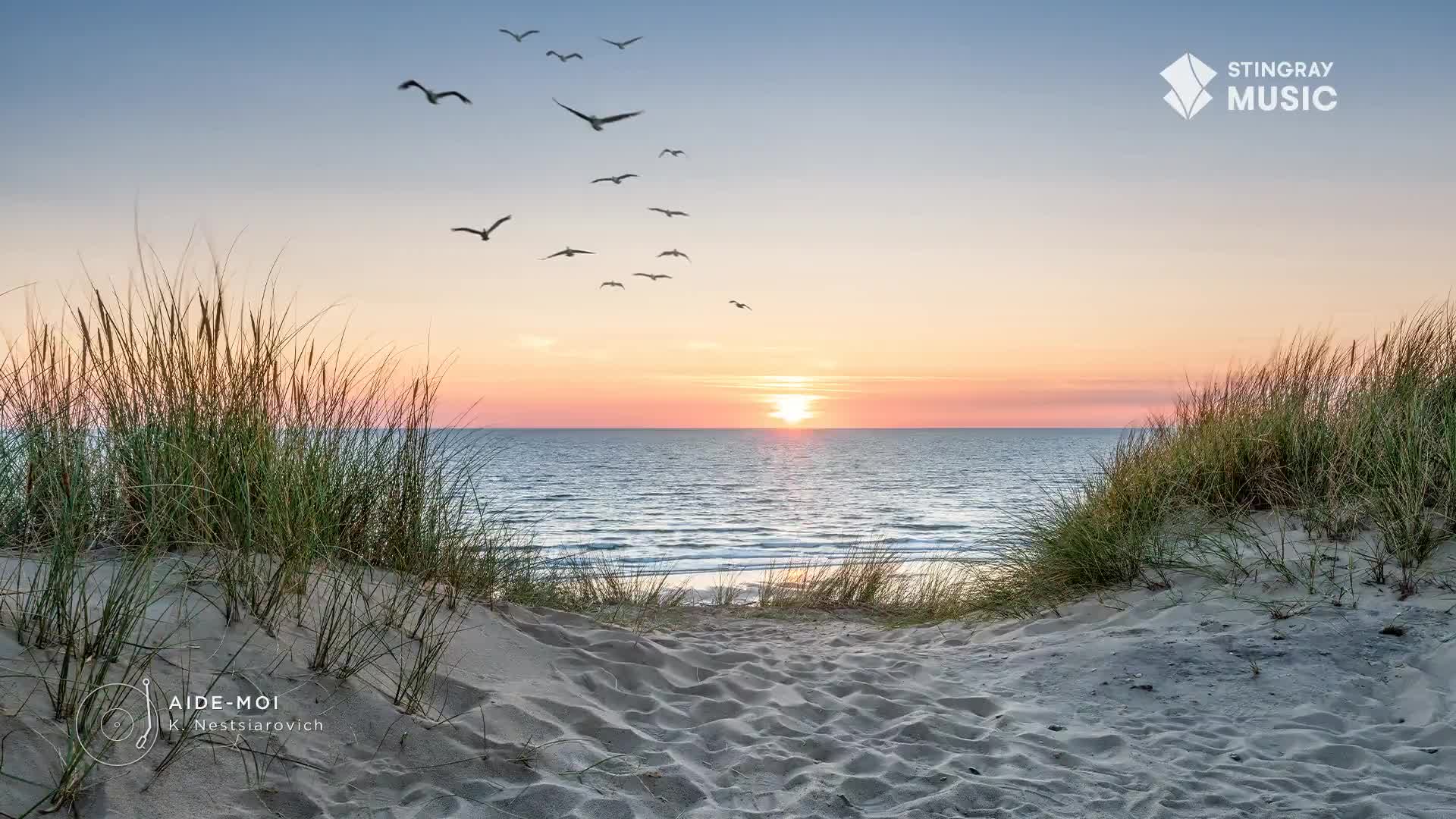 A flock of birds soars above the ocean as the sun sets, painting the sky in soft hues. The Stingray Music logo, a Canadian brand, sits in the corner, a subtle reminder of the easy listening vibes.
