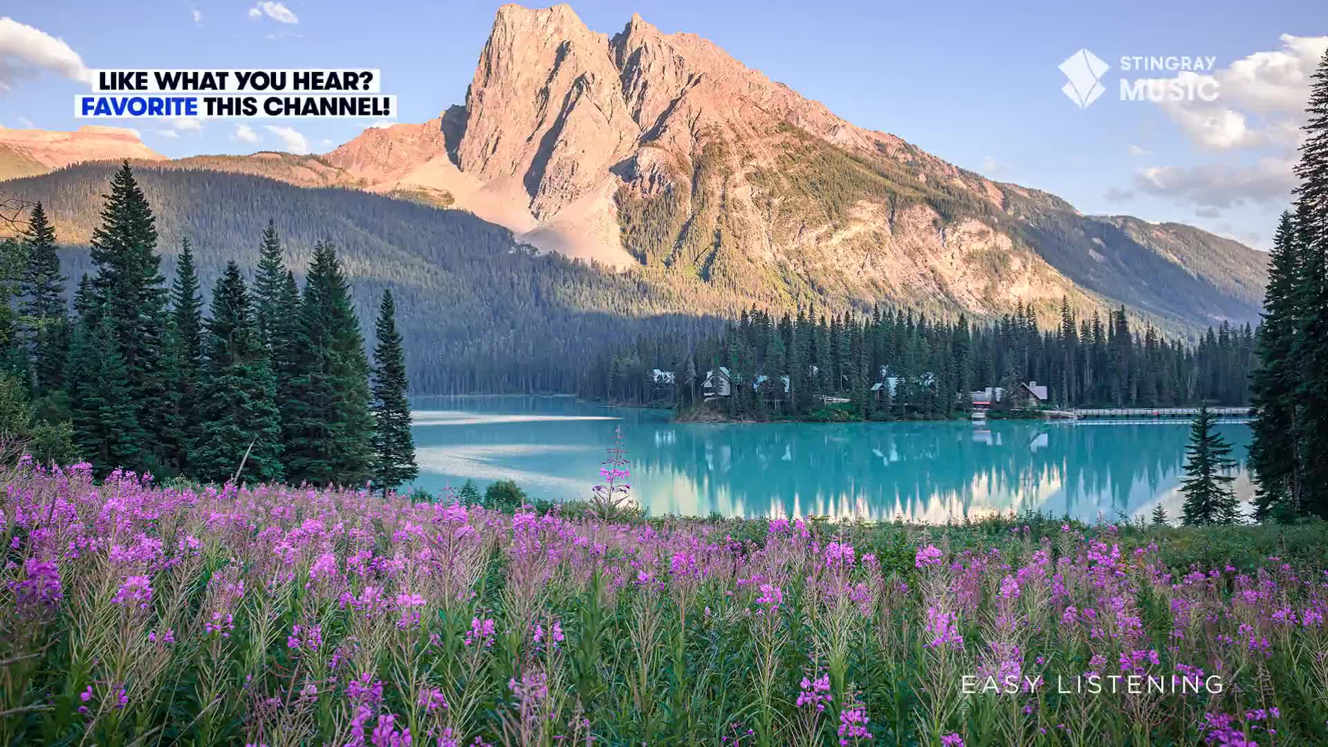 The Canadian Rockies rise above a turquoise lake, reflecting the early morning light.  Purple wildflowers sway gently in the foreground, a perfect scene for the "Easy Listening" channel.

