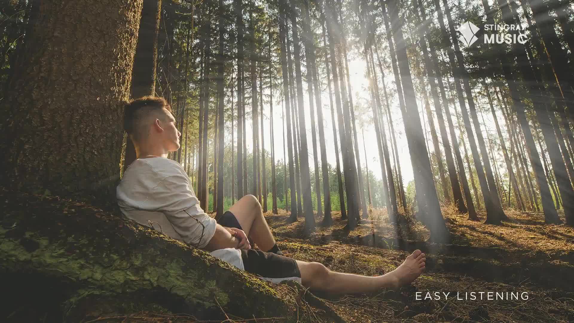A young man leans against a thick tree, his legs stretched out on the forest floor. Sunlight streams through the tall trees, illuminating the scene in a golden glow.
