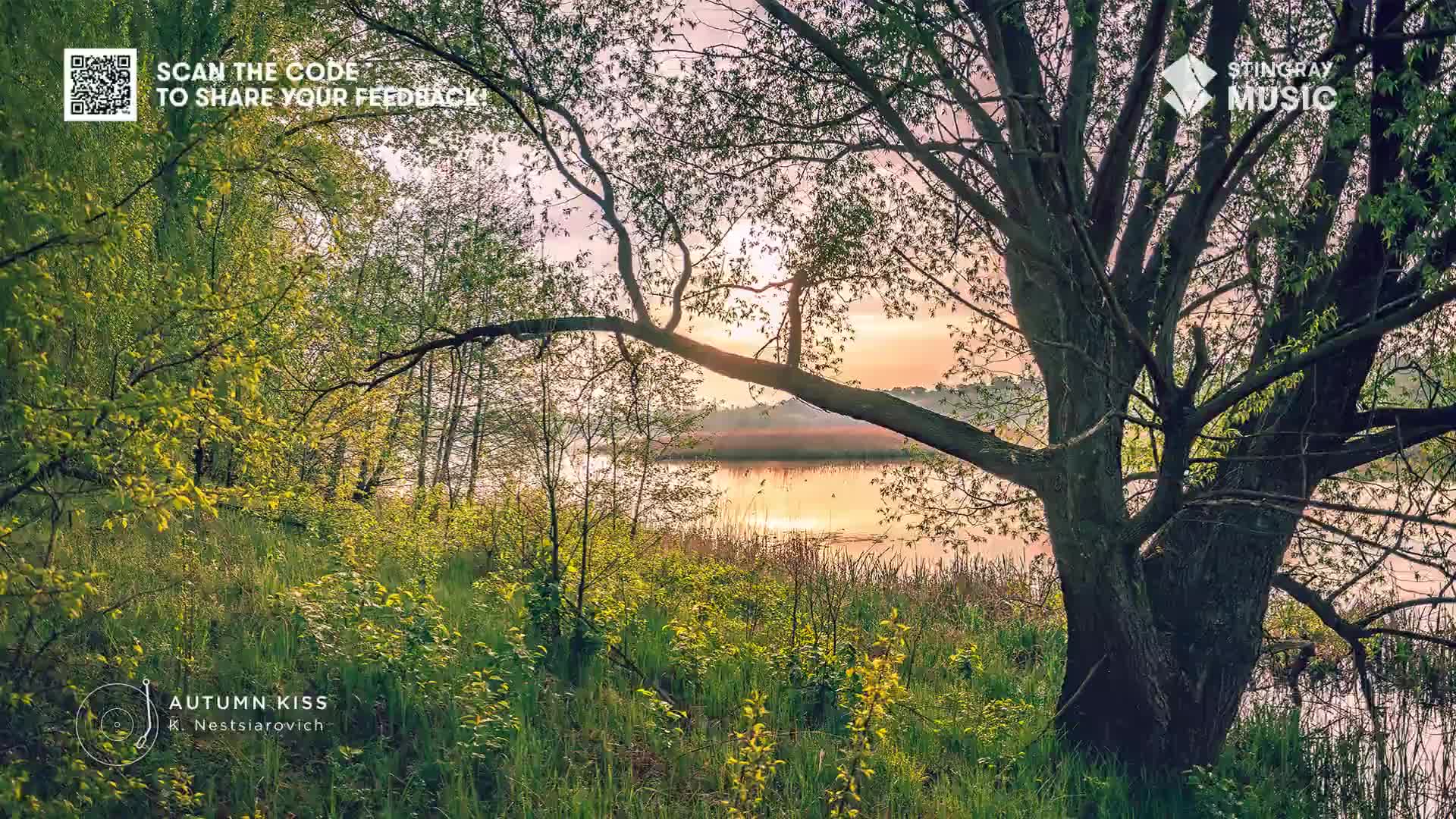 The sun is just beginning to peek over the horizon, casting a warm glow on the water. A large tree, its branches reaching out, frames the scene, with Stingray Easy Listening playing in the background.

