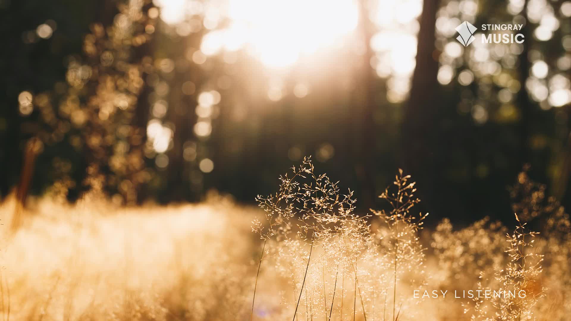 Golden sunlight streams through the trees, illuminating tall grasses in the foreground. The Stingray Easy Listening logo is visible, suggesting a tranquil, Canadian soundscape.

