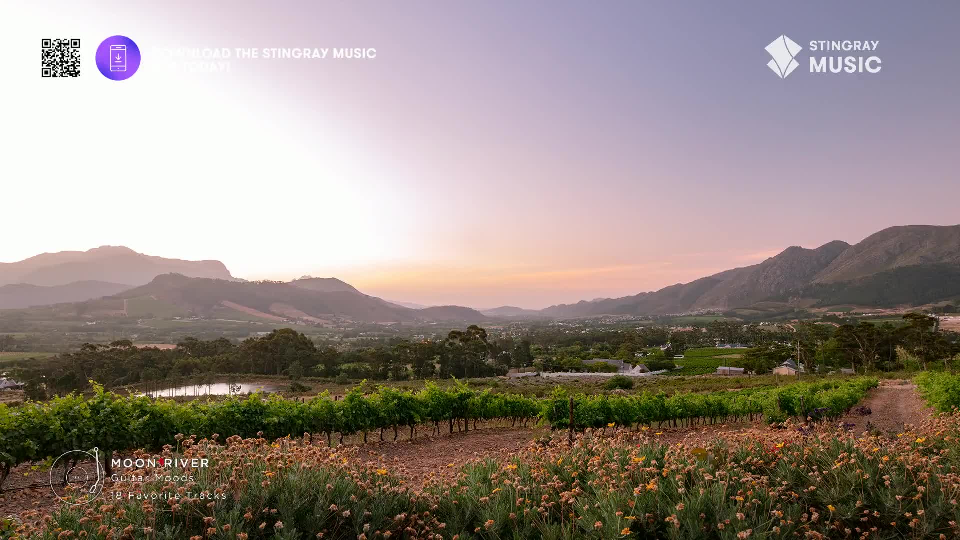 The sun sets over a valley, casting a warm glow on the distant mountains. Rows of grapevines stretch toward the horizon, promising a relaxing evening, maybe with some Stingray Easy Listening from Canada.
