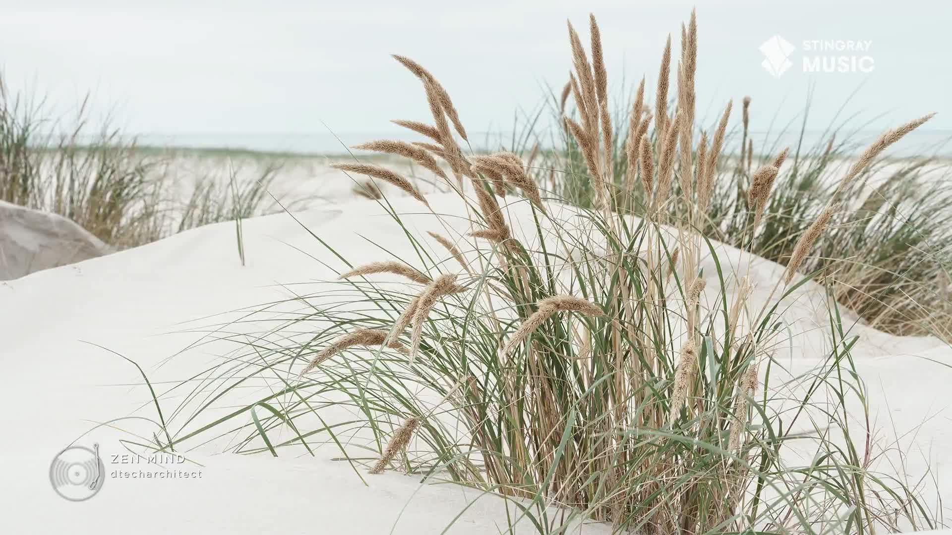 Tall grasses sway gently, their seed heads a warm contrast to the pale sand dunes. The ocean, a distant grey line, meets a cloudy sky, creating a peaceful, muted landscape.
