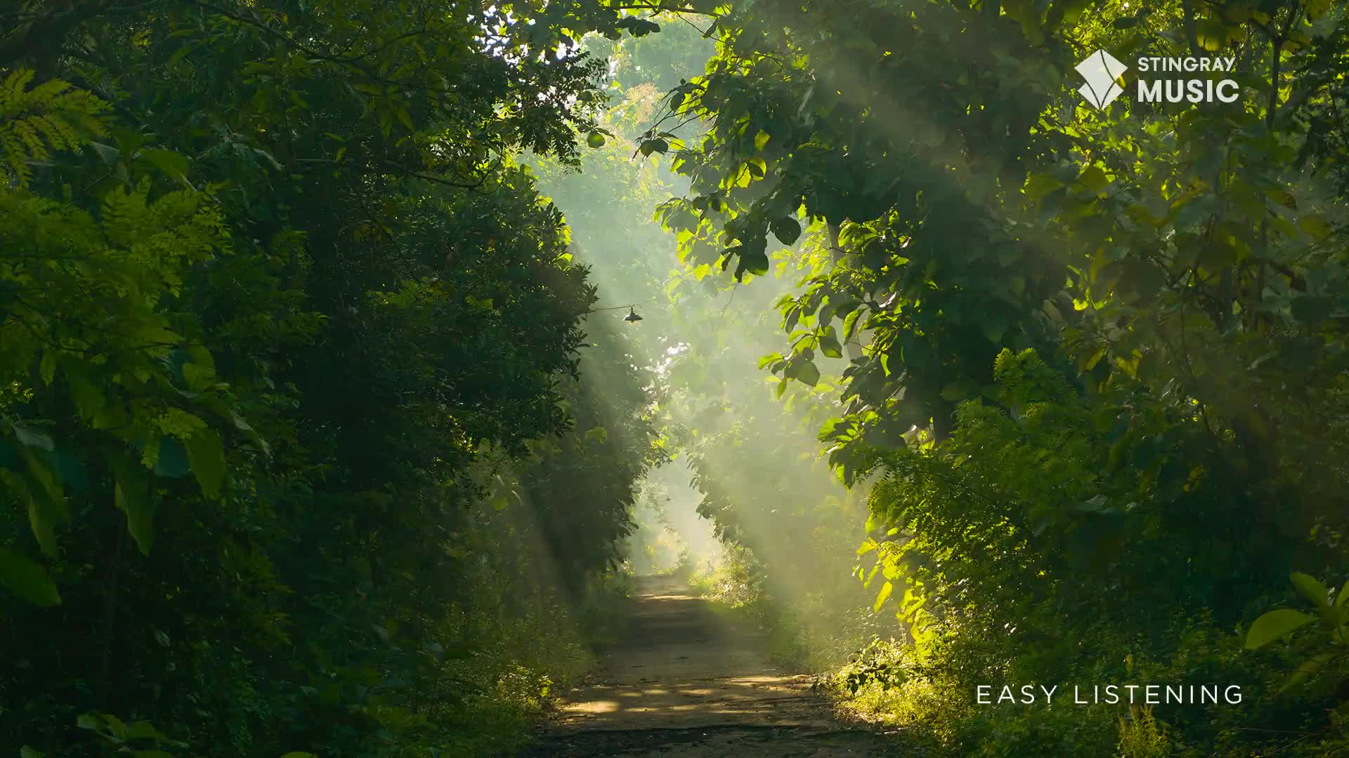 Sunlight streams through the trees, illuminating a dirt path that disappears into the distance. The scene feels like a quiet, natural space, perfect for listening to Stingray Easy Listening, a Canadian favourite.
