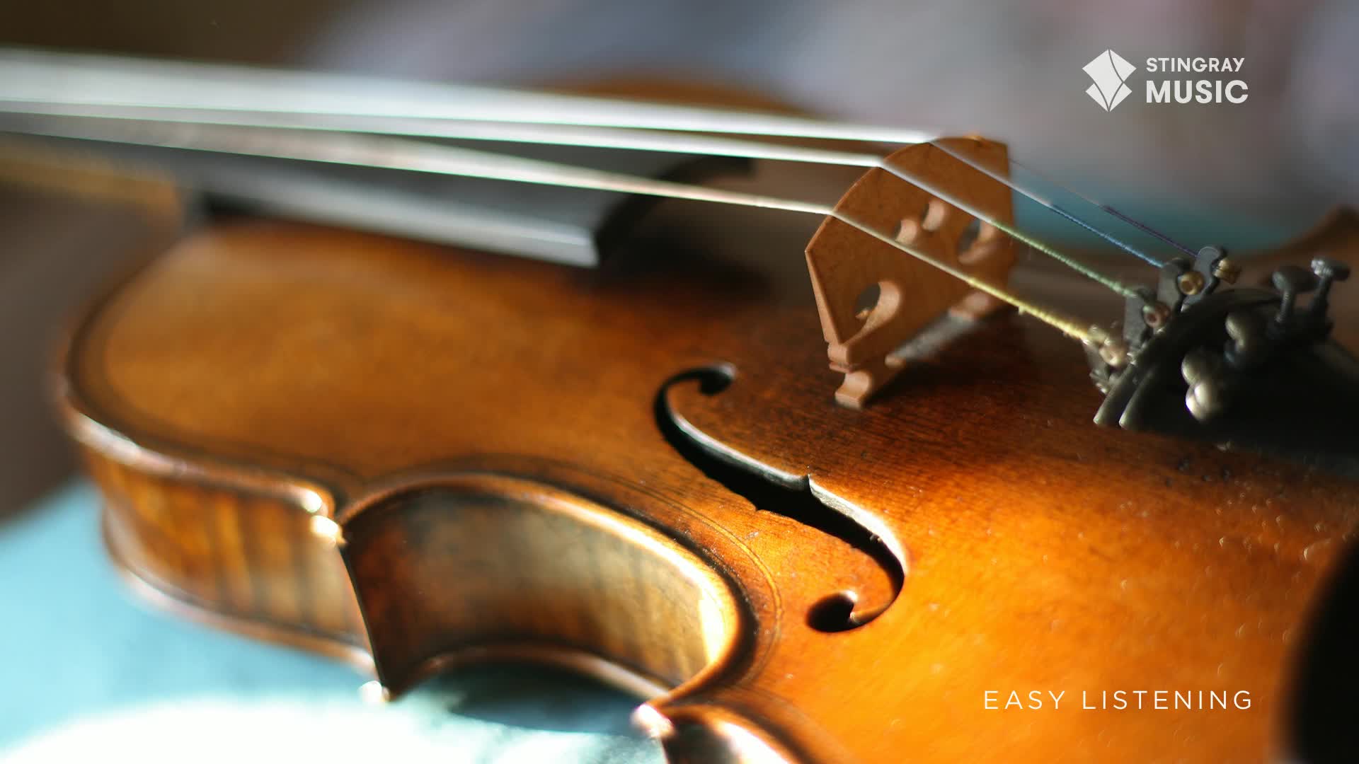 The warm, wooden body of a violin is lit by sunlight, its curves and f-holes softly shadowed. Above, the strings stretch taut, ready to produce the soothing sounds of Stingray Easy Listening from Canada.
