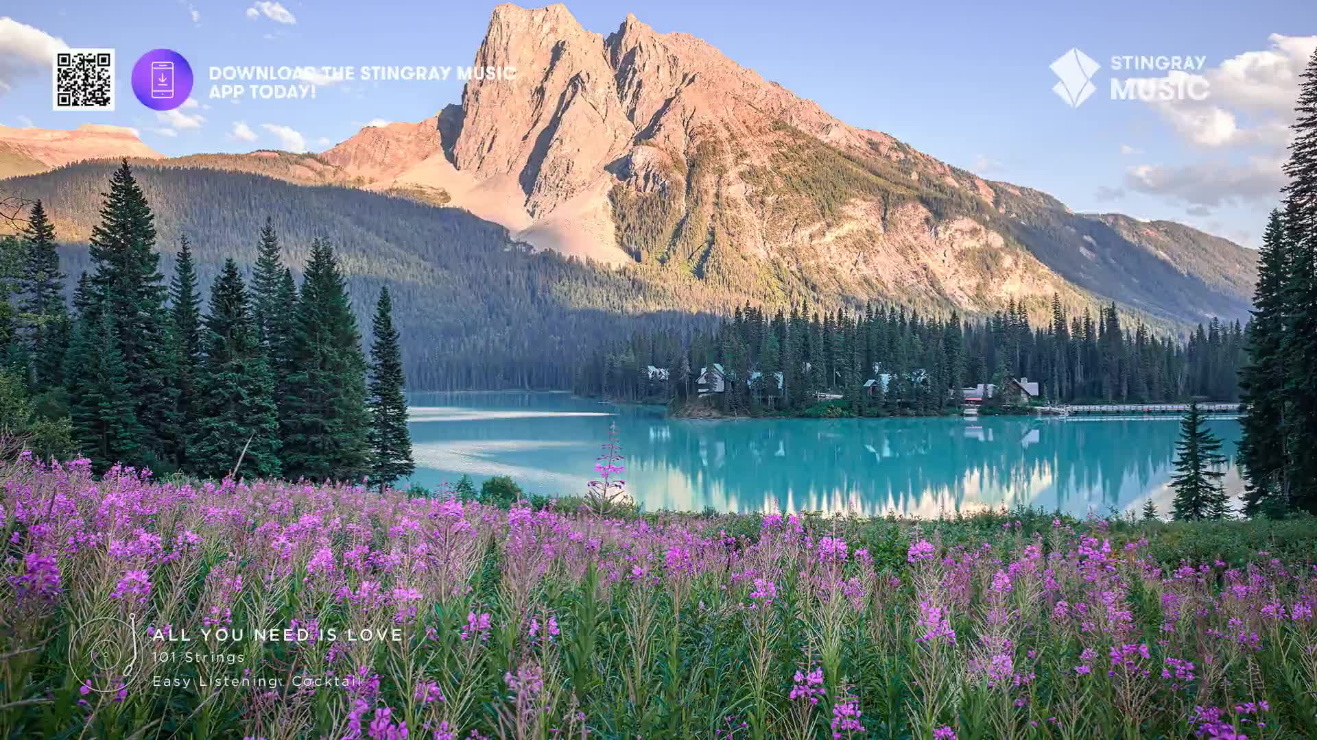 The turquoise water of a lake reflects the towering mountain, while the foreground is filled with vibrant purple wildflowers. It's a perfect scene for Stingray Easy Listening, somewhere in Canada.
