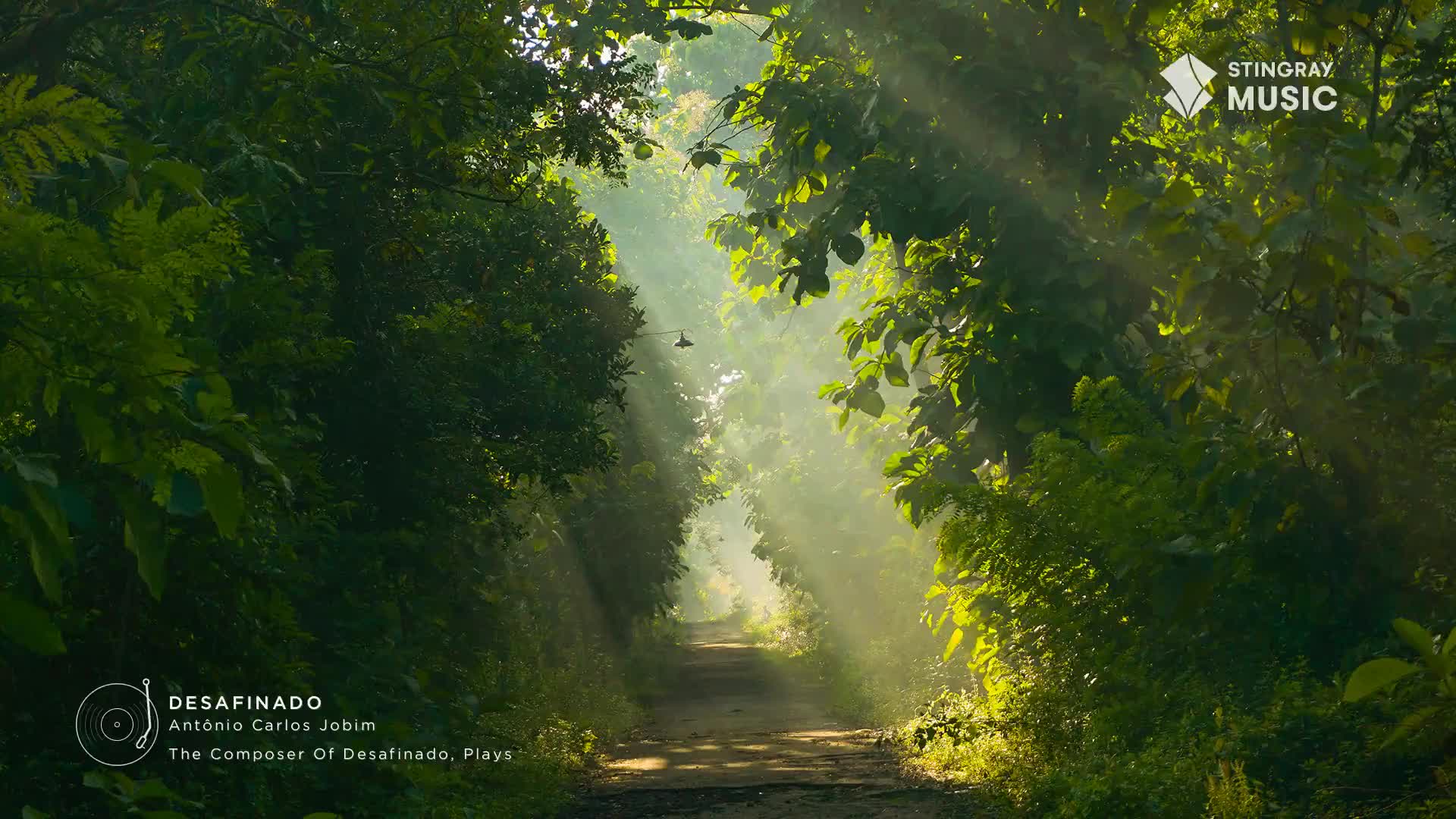 Sunlight streams through the trees, illuminating a path that disappears into the distance. The Stingray Music logo, a familiar Canadian brand, sits in the corner, hinting at the easy listening tunes that might accompany this serene scene.
