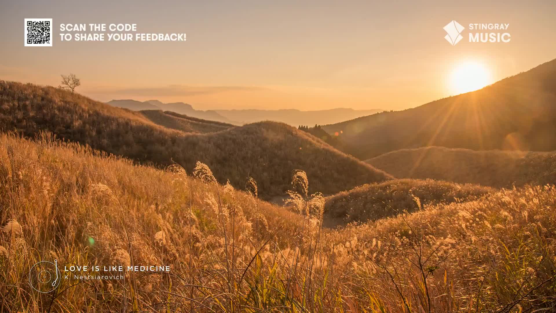 The sun is setting over rolling hills, casting long shadows across the fields of tall, golden grass. It's the kind of scene that might play on Stingray Easy Listening, a perfect backdrop for a quiet evening in Canada.

