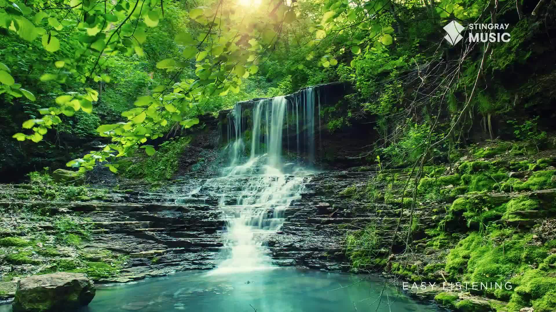 Water cascades over a layered rock face, forming a small pool below. Sunlight filters through the leaves, as if this Canadian scene is a backdrop for Stingray Easy Listening.
Water cascades over a layered rock face, forming a small pool below. Sunlight filters through the leaves, as if this Canadian scene is a backdrop for Stingray Easy Listening.