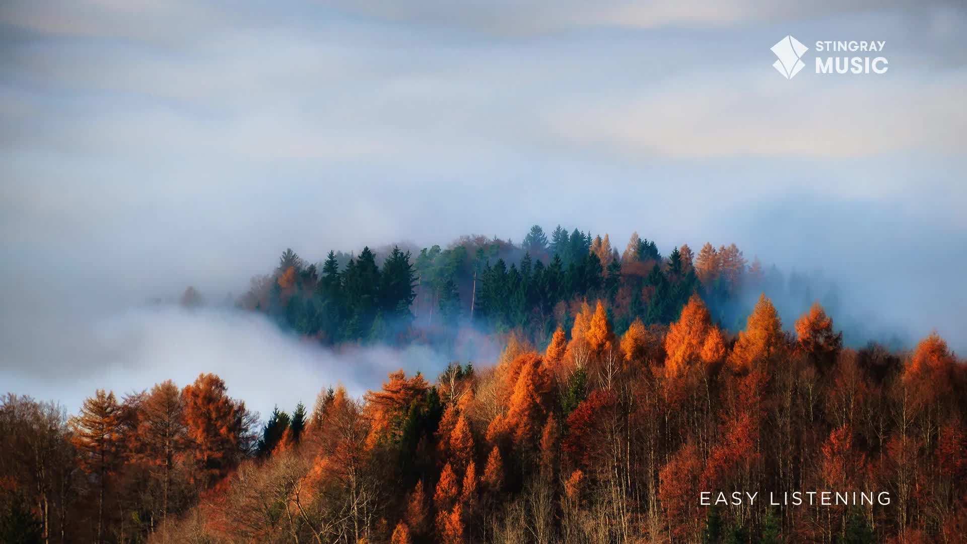 The tops of the trees are ablaze with autumn colors, emerging from a thick blanket of fog. It's a scene that feels like it could be from somewhere in Canada, perfect for Stingray Easy Listening.
