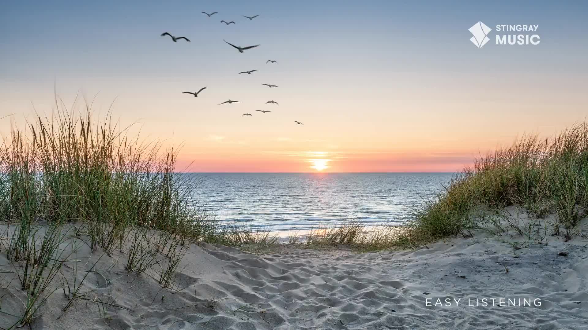 Seagulls glide over the ocean as the sun dips towards the horizon. A path through the dunes leads to the water's edge, a perfect spot for Stingray Easy Listening.