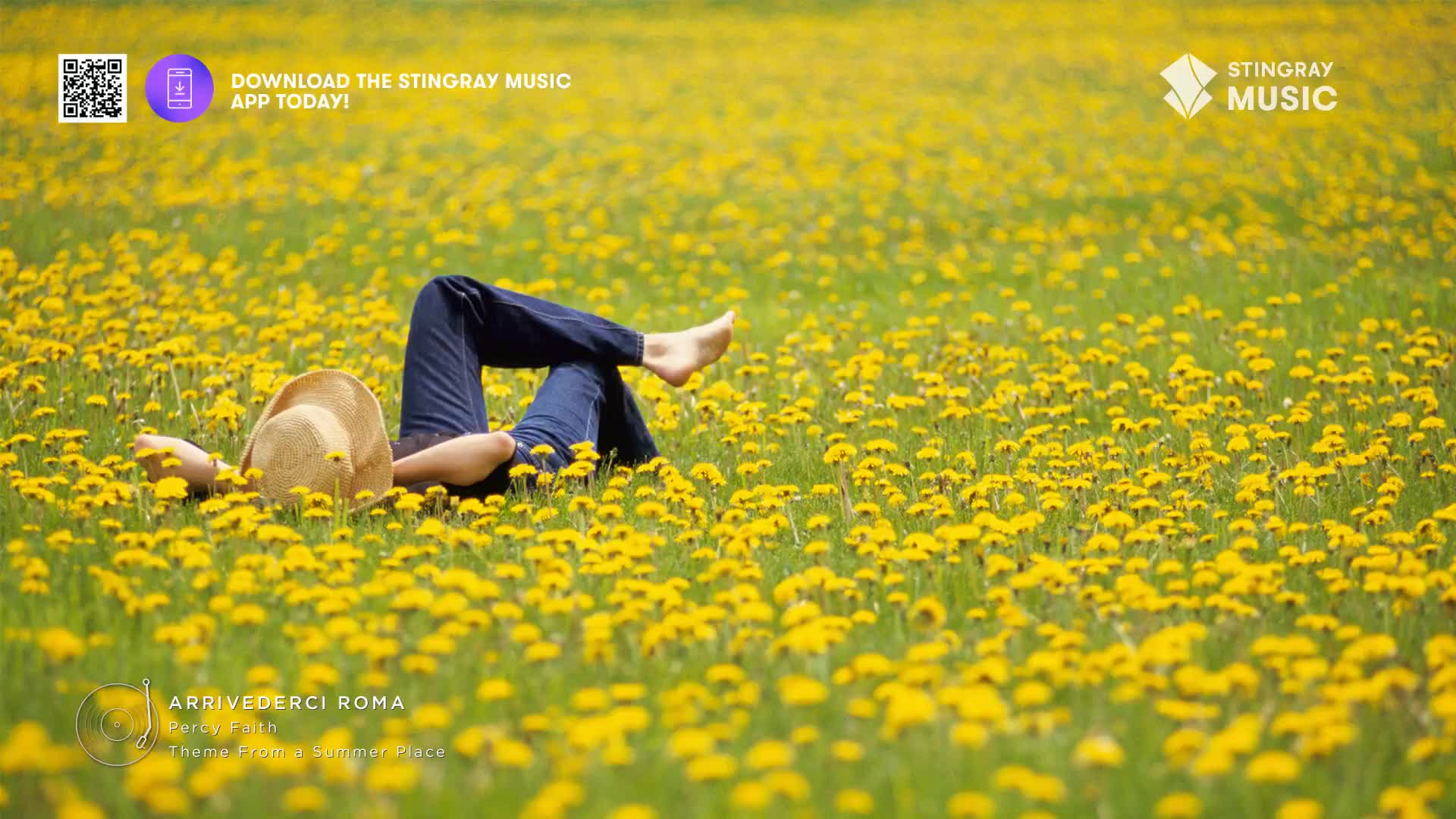 A person lies back in a field of bright yellow dandelions, their straw hat tilted to shield their face. The gentle breeze rustles the grass, a perfect moment for Stingray Easy Listening.