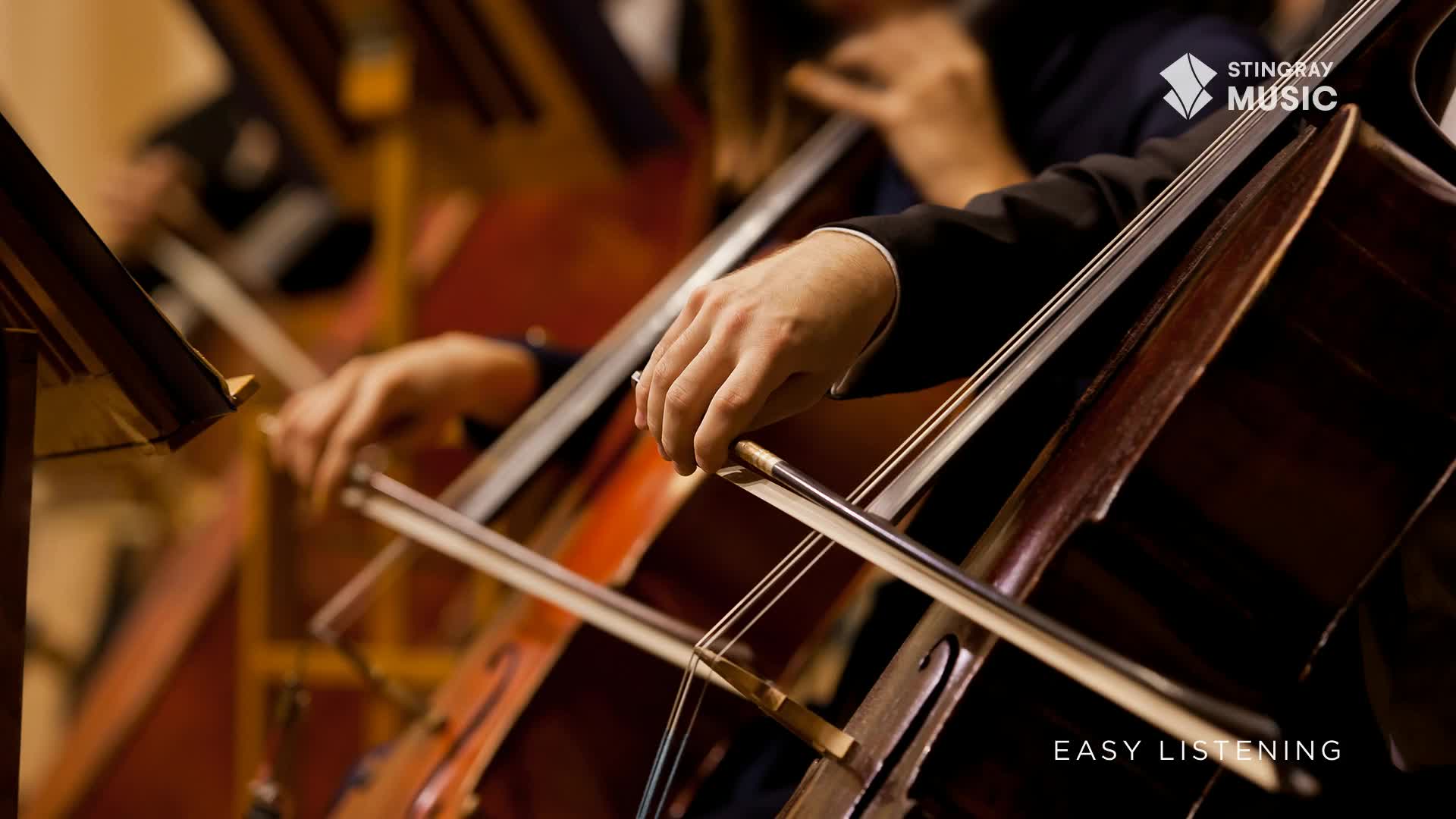 A hand grips a cello bow, drawing it across the strings. The rich wood of the instrument gleams under the stage lights as the orchestra plays.