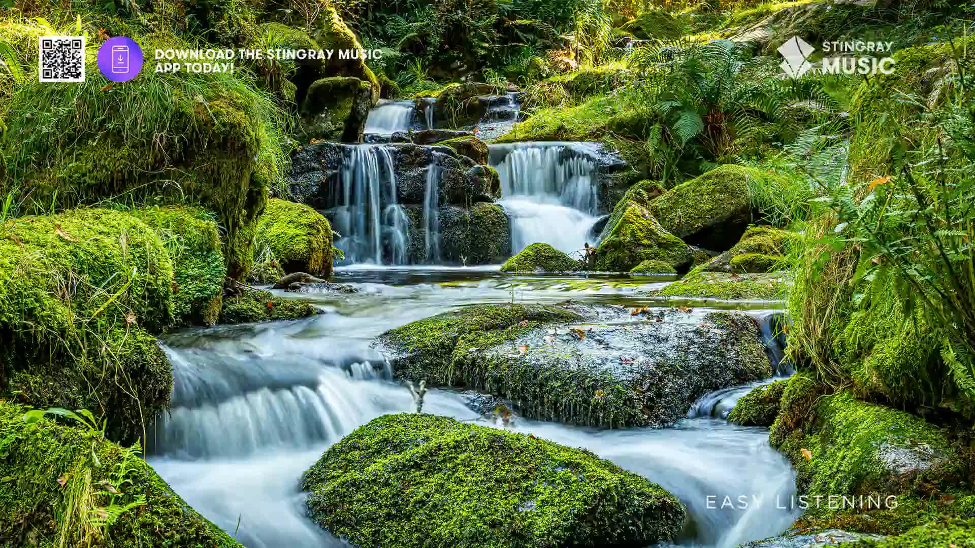 Water cascades over moss-covered rocks in a lush Canadian forest. The gentle flow of the stream suggests a peaceful afternoon, perfect for Stingray Easy Listening.