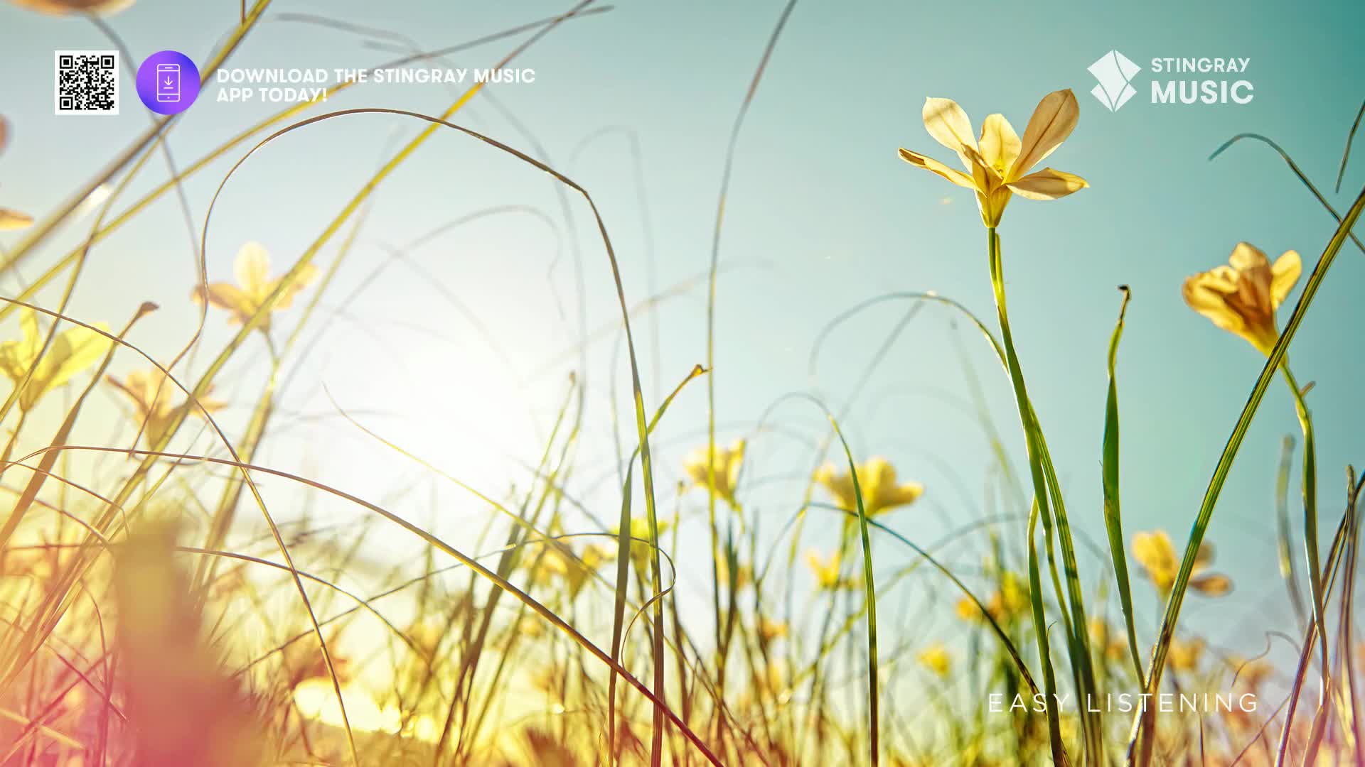 The sun shines through tall grass, illuminating delicate yellow flowers. A gentle breeze sways the stems, creating a peaceful, natural scene.
