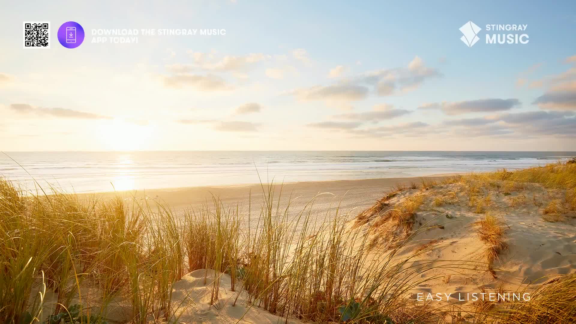 The sun dips low over the ocean, casting a warm glow across the sand dunes. Tall grasses sway gently in the breeze, framing the tranquil scene.